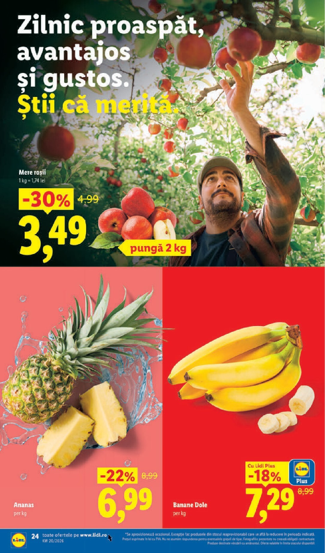 lidl - Lidl pliante pentru săptămâna viitoare de la luni 11.05.2026 până la duminică 17.05.2026 - page: 24