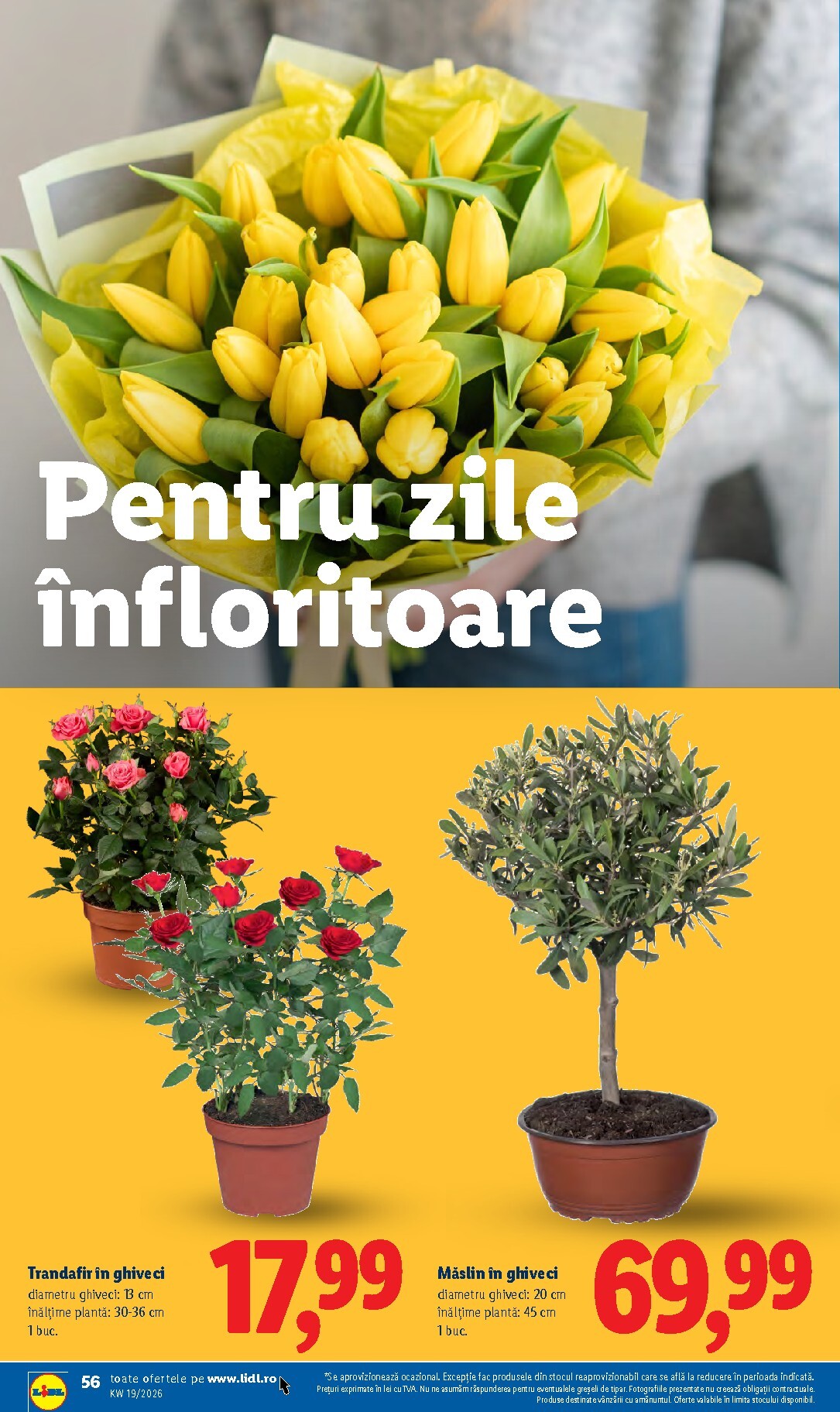 lidl - Brosura Lidl valabilă de la luni 04.05.2026 până la duminică 10.05.2026 - page: 56
