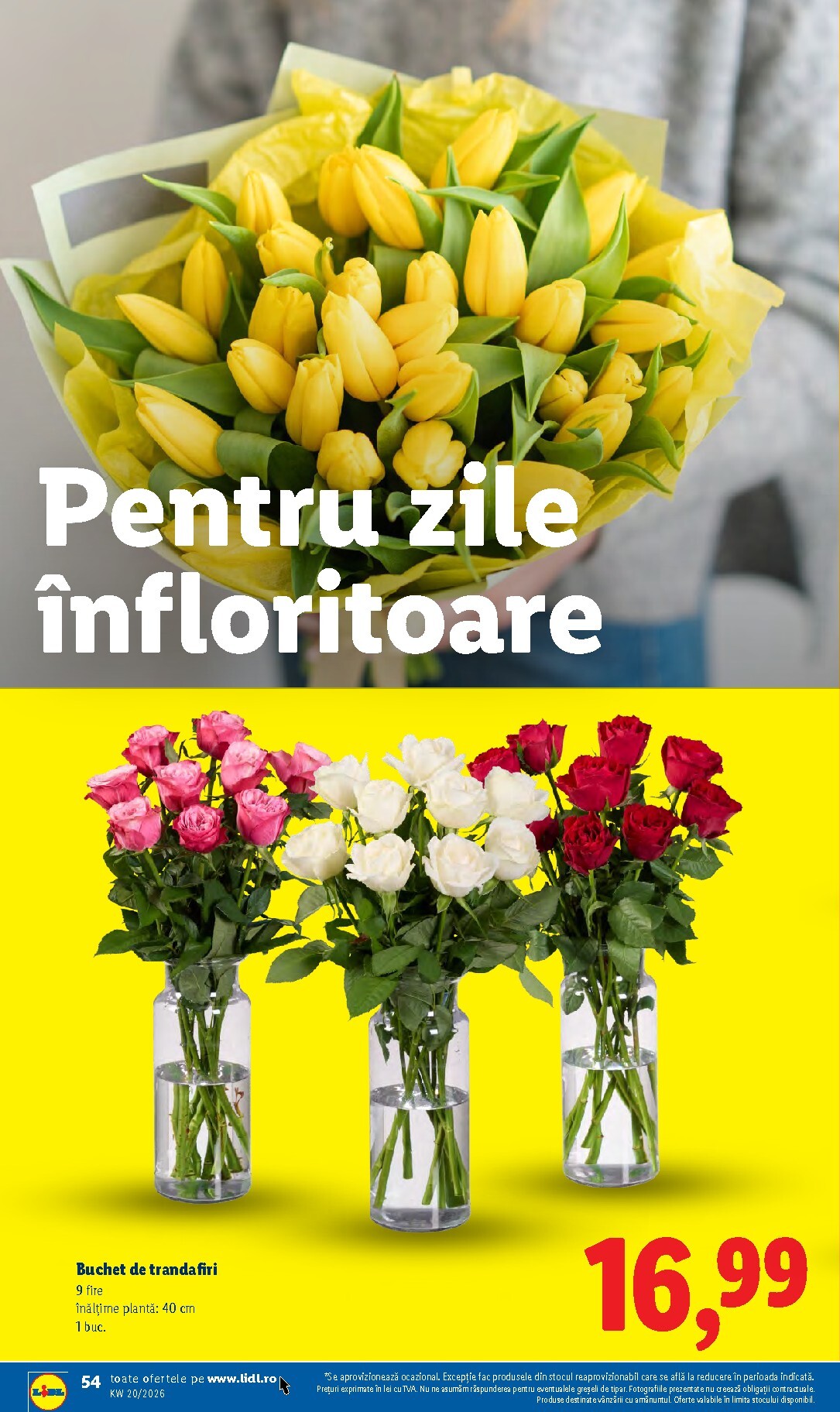 lidl - Brosura Lidl valabilă de la luni 11.05.2026 până la duminică 17.05.2026 - page: 54