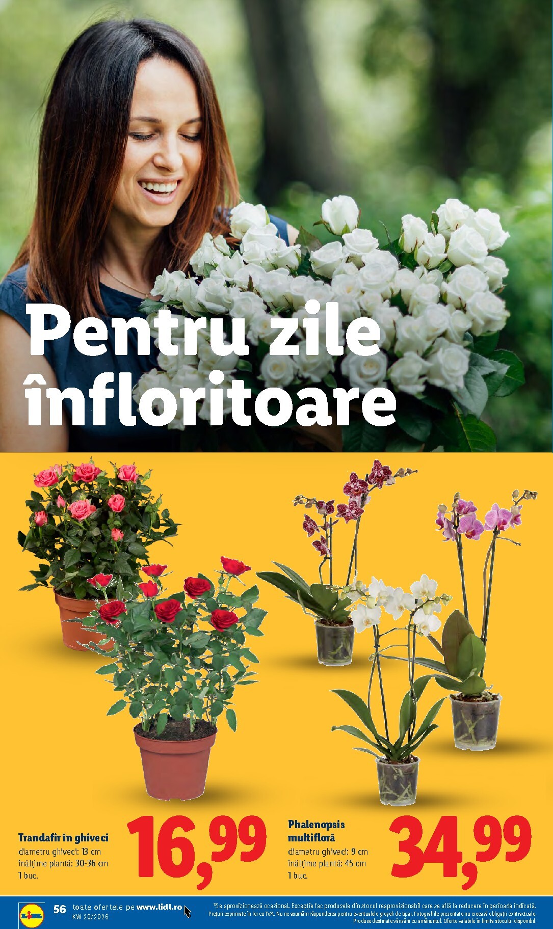 lidl - Brosura Lidl valabilă de la luni 11.05.2026 până la duminică 17.05.2026 - page: 56