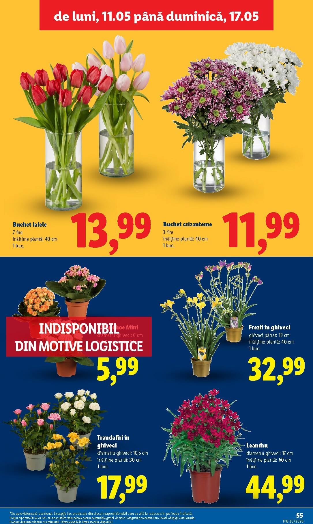 lidl - Brosura Lidl valabilă de la luni 11.05.2026 până la duminică 17.05.2026 - page: 55