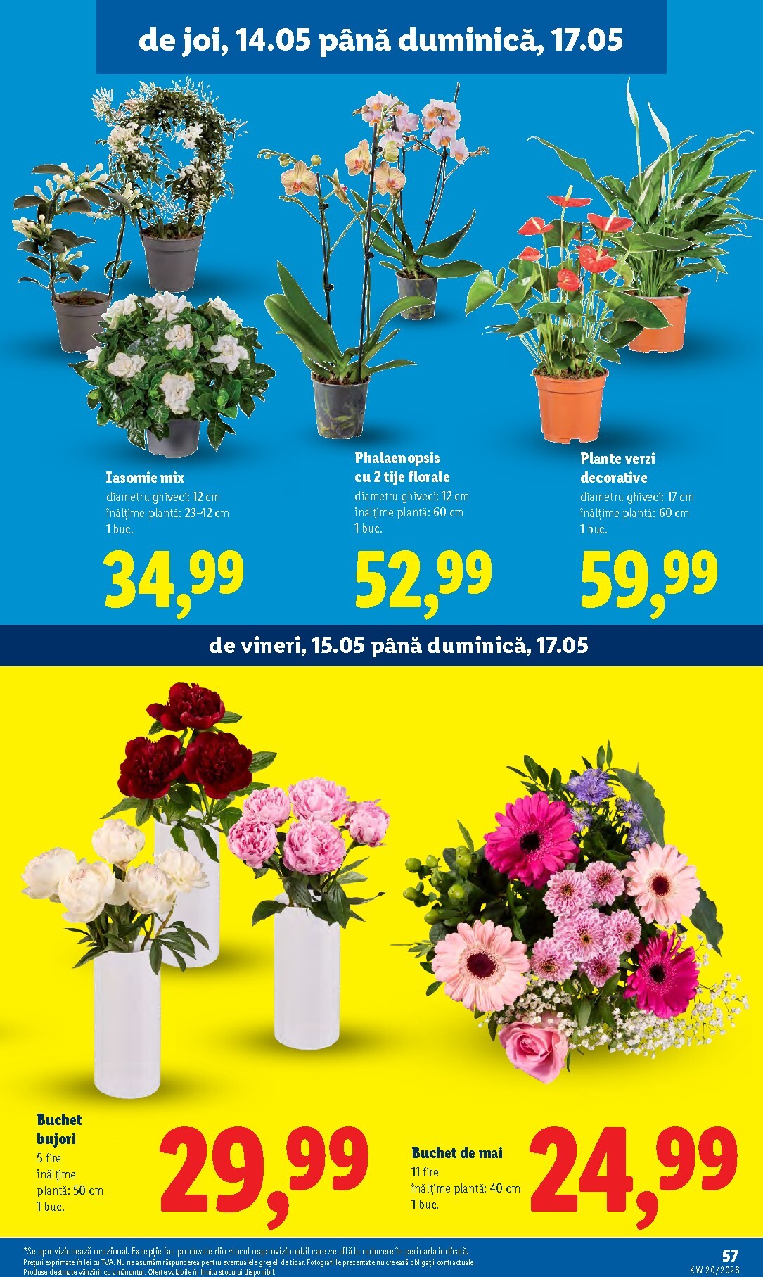 lidl - Brosura Lidl valabilă de la luni 11.05.2026 până la duminică 17.05.2026 - page: 57