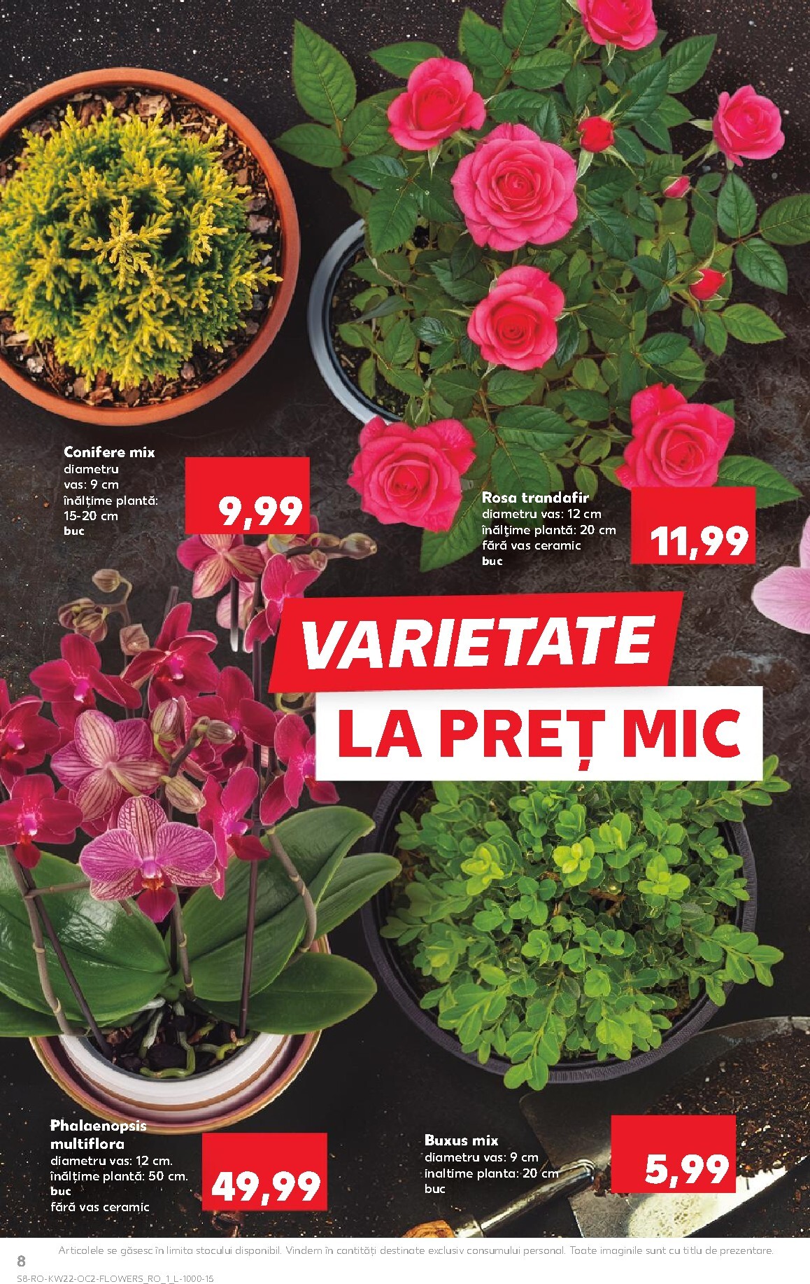 kaufland - Pliantele viitoare Kaufland valabil de la miercuri 27.05.2026 până la marți 02.06.2026 - page: 8