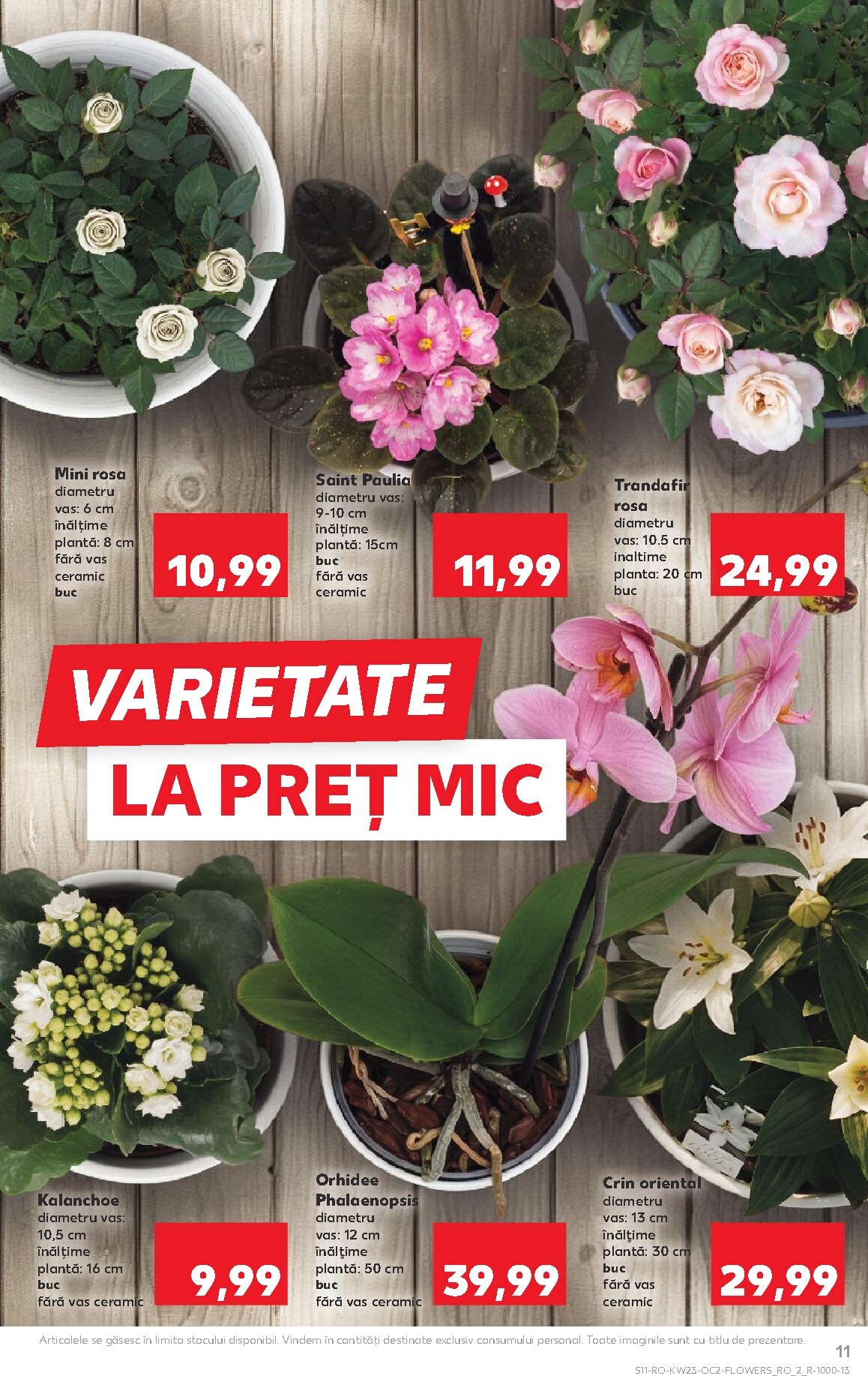 kaufland - Kaufland pliante pentru săptămâna viitoare de la miercuri 03.06.2026 până la marți 09.06.2026 - page: 11