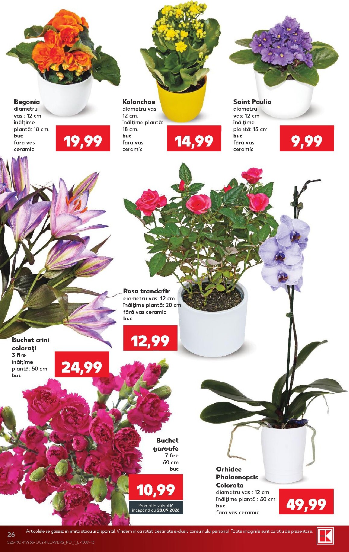 kaufland - Kaufland pliante pentru săptămâna viitoare de la miercuri 26.08.2026 până la marți 01.09.2026 - page: 26