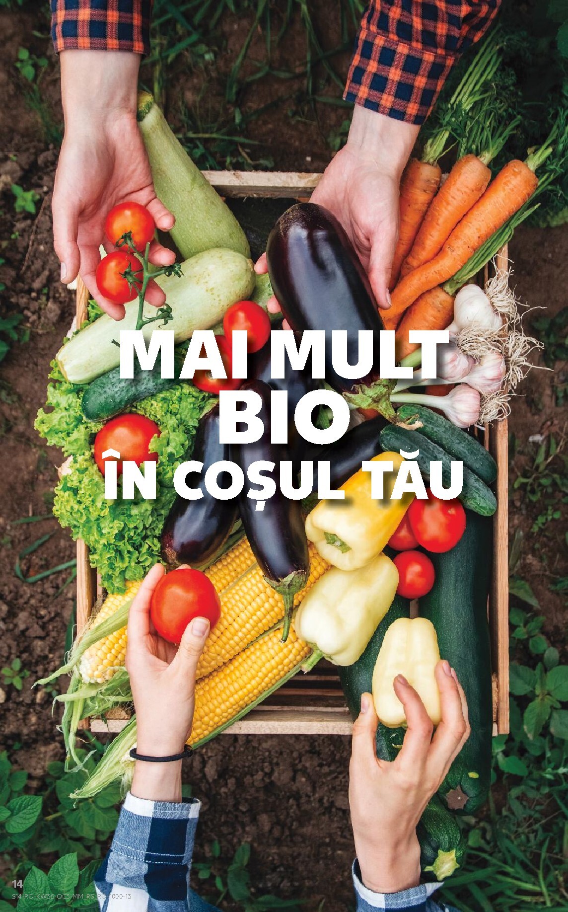 kaufland - Kaufland - Produse BIO pliante pentru săptămâna viitoare de la miercuri 26.08.2026 până la marți 01.09.2026 - page: 14