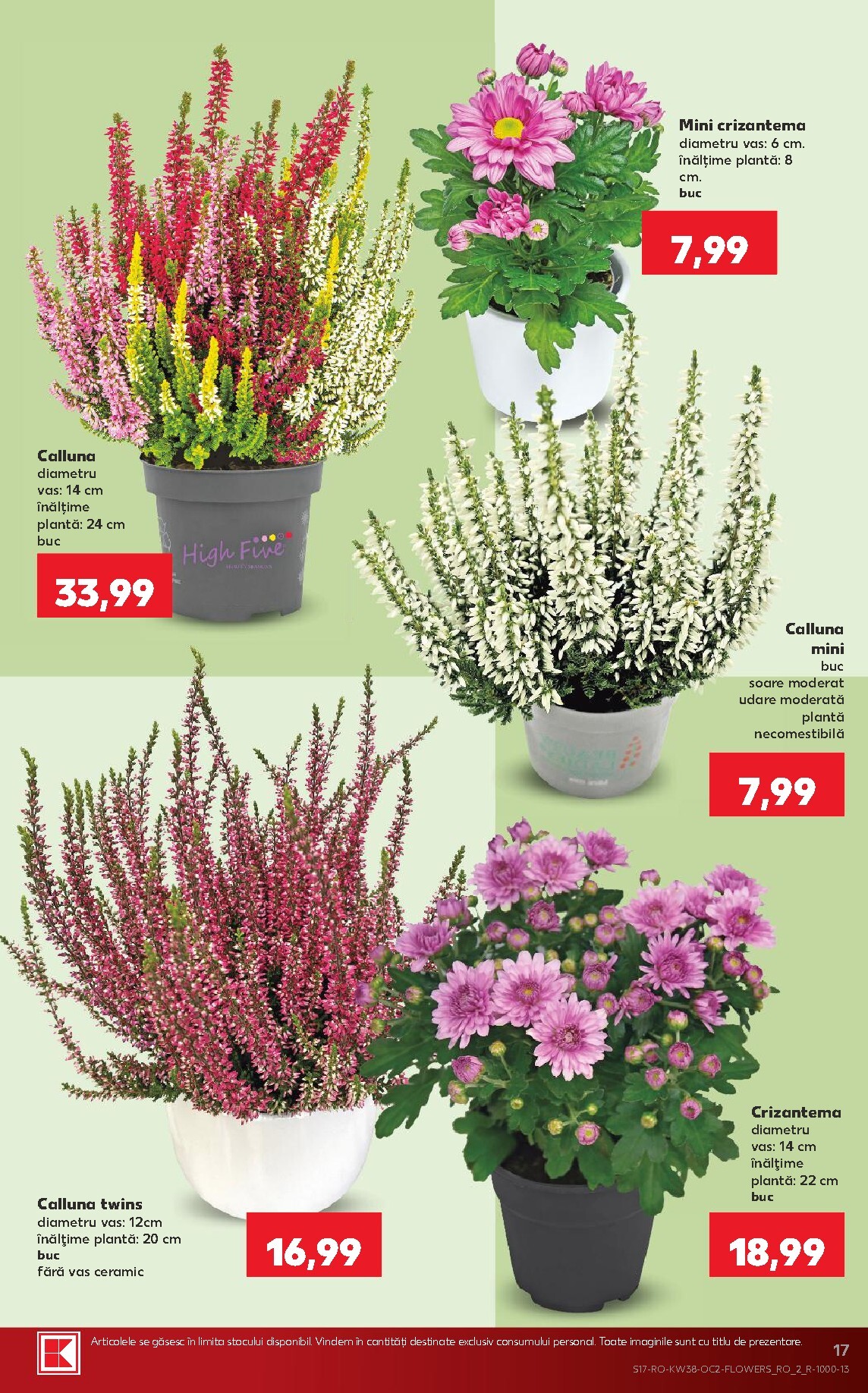 kaufland - Kaufland pliante pentru săptămâna viitoare de la miercuri 16.09.2026 până la marți 22.09.2026 - page: 17