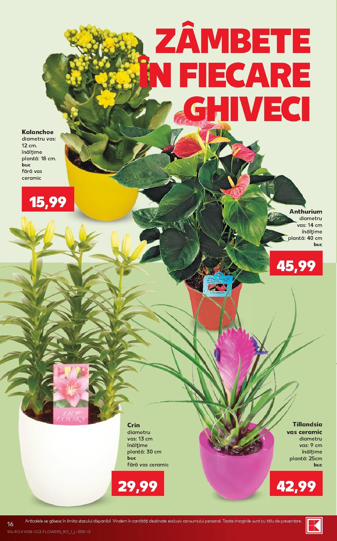 kaufland - Kaufland pliante pentru săptămâna viitoare de la miercuri 16.09.2026 până la marți 22.09.2026 - page: 16