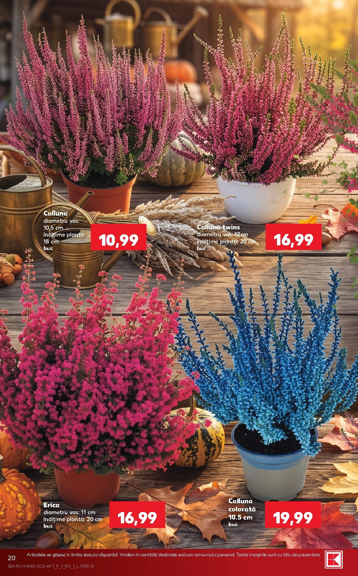 kaufland - Kaufland pliante pentru săptămâna viitoare de la miercuri 30.09.2026 până la marți 06.10.2026 - page: 20