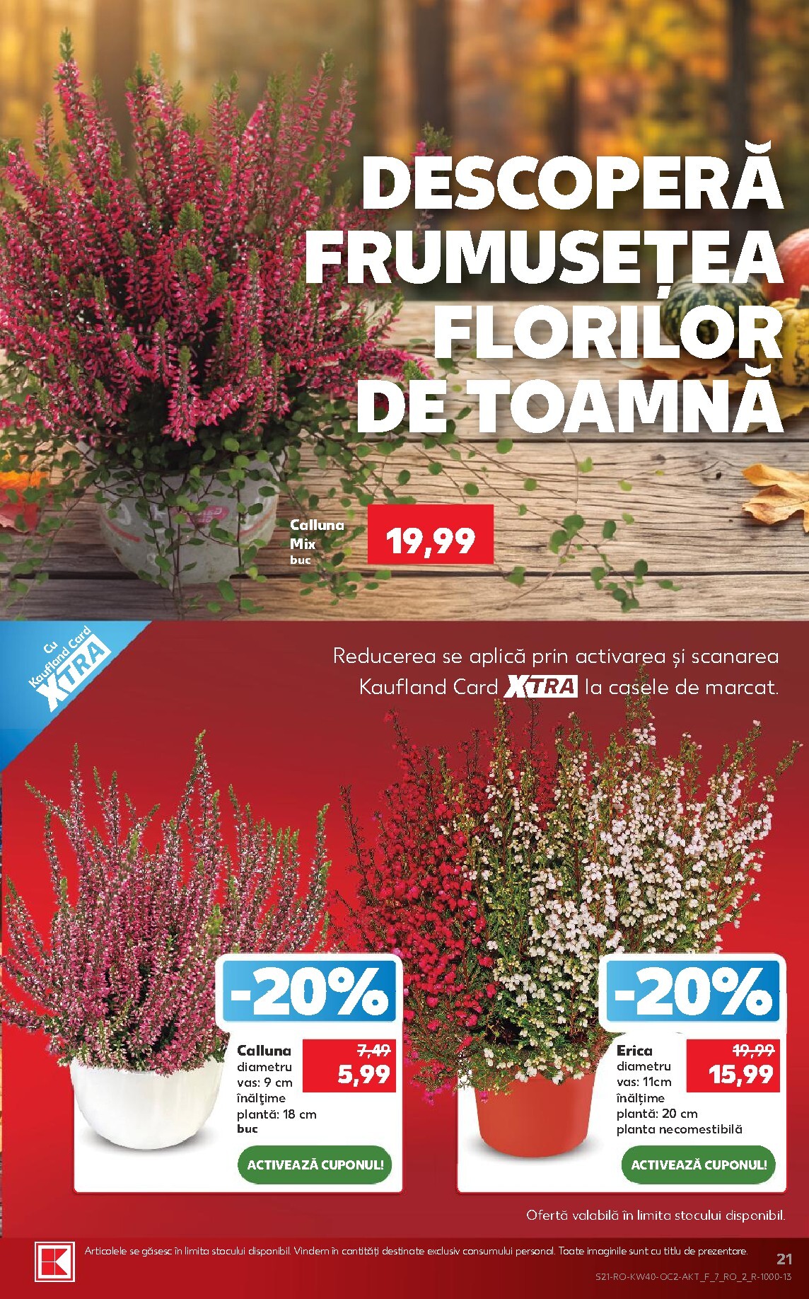 kaufland - Kaufland pliante pentru săptămâna viitoare de la miercuri 30.09.2026 până la marți 06.10.2026 - page: 21