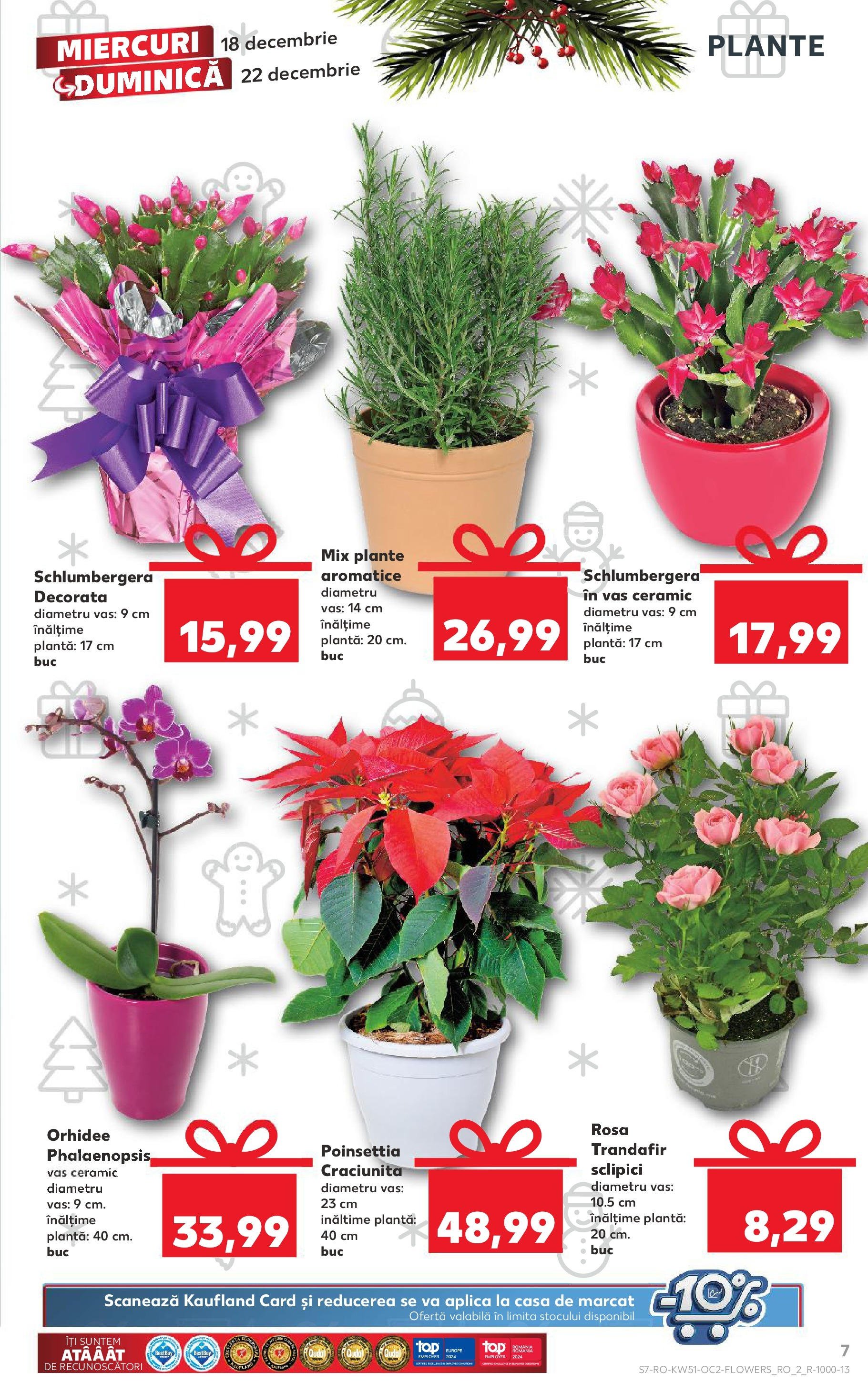 kaufland - Catalog Kaufland valabil din 18.12. - 24.12. - page: 7