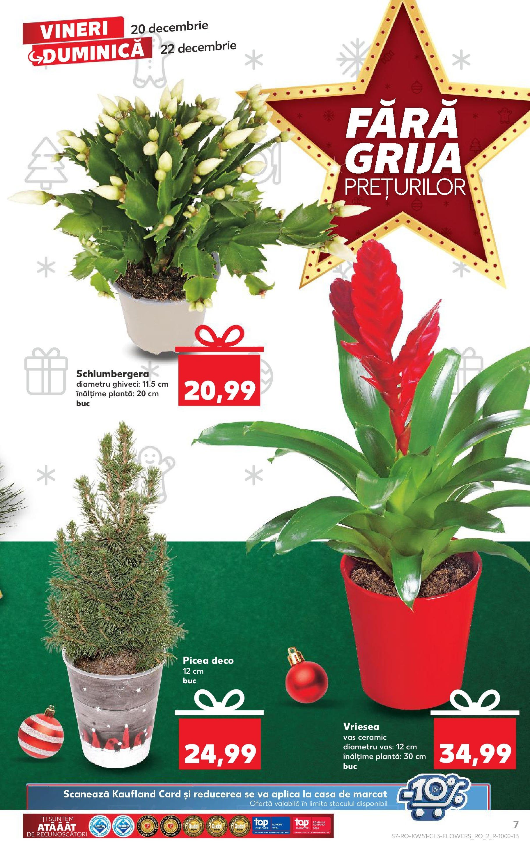 kaufland - Catalog Kaufland valabil din 20.12. - 22.12. - page: 7