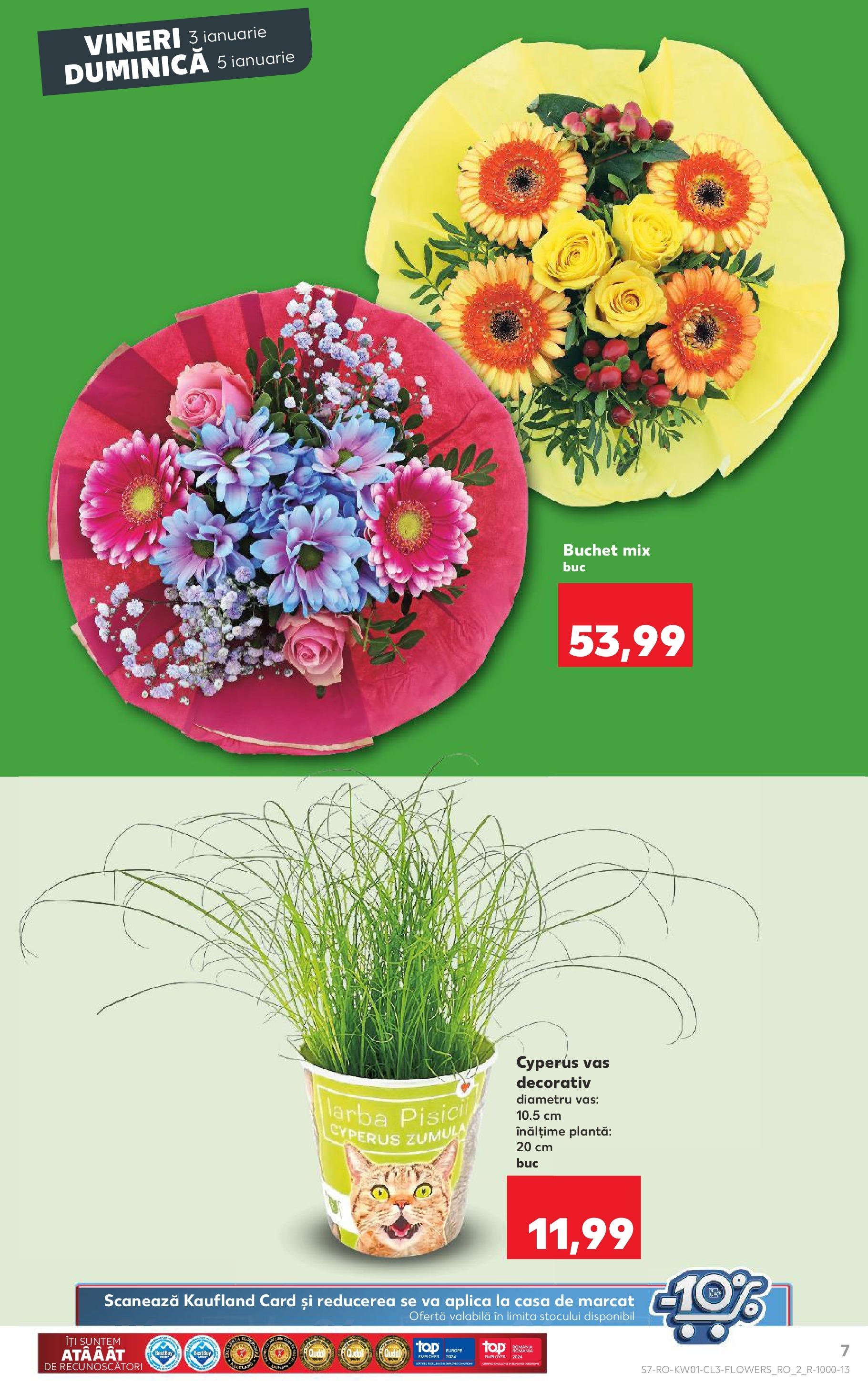 kaufland - Catalog Kaufland valabil din 03.01. - 05.01. - page: 7