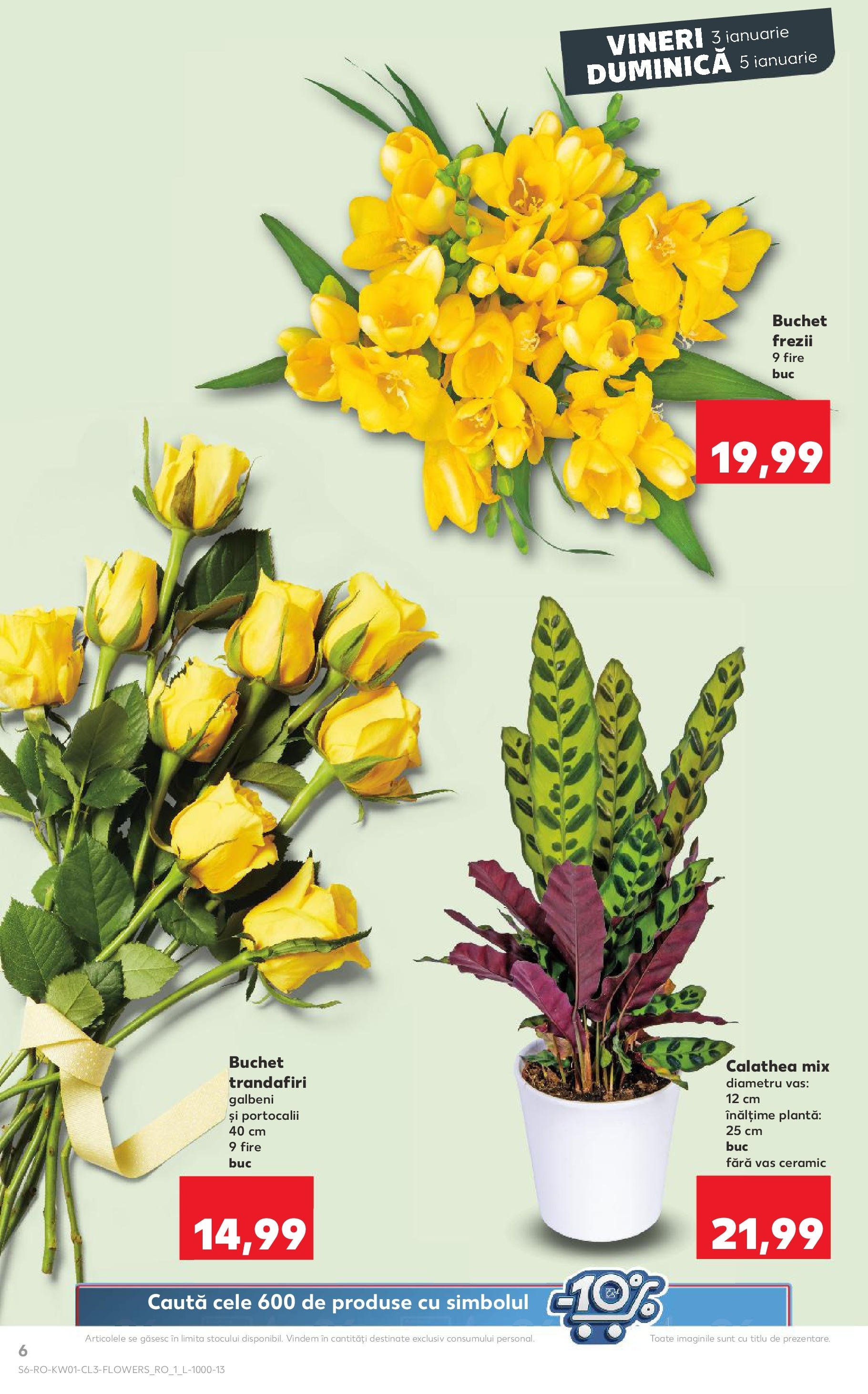 kaufland - Catalog Kaufland valabil din 03.01. - 05.01. - page: 6