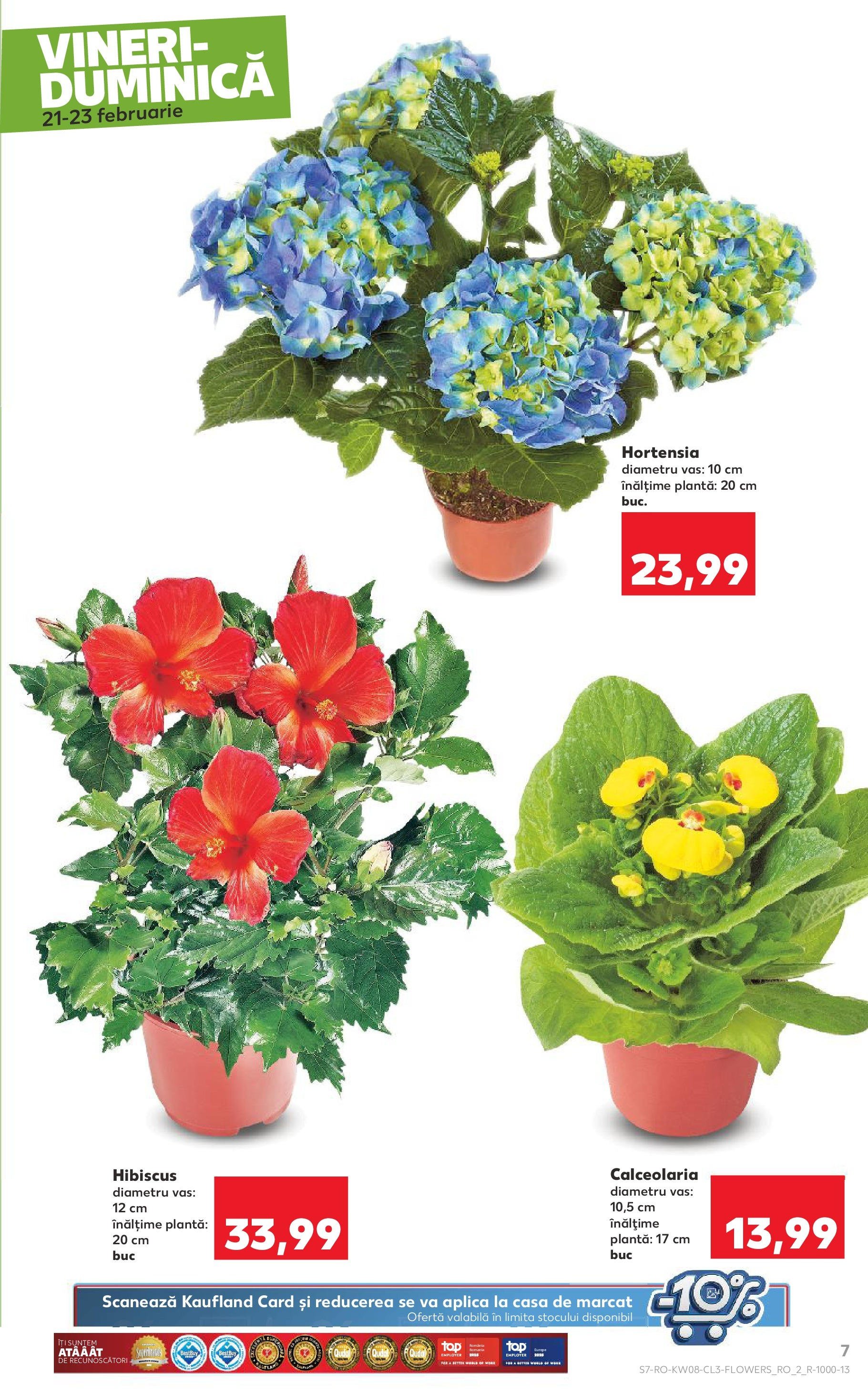 kaufland - Catalog Kaufland valabil din 21.02. - 23.02. - page: 7