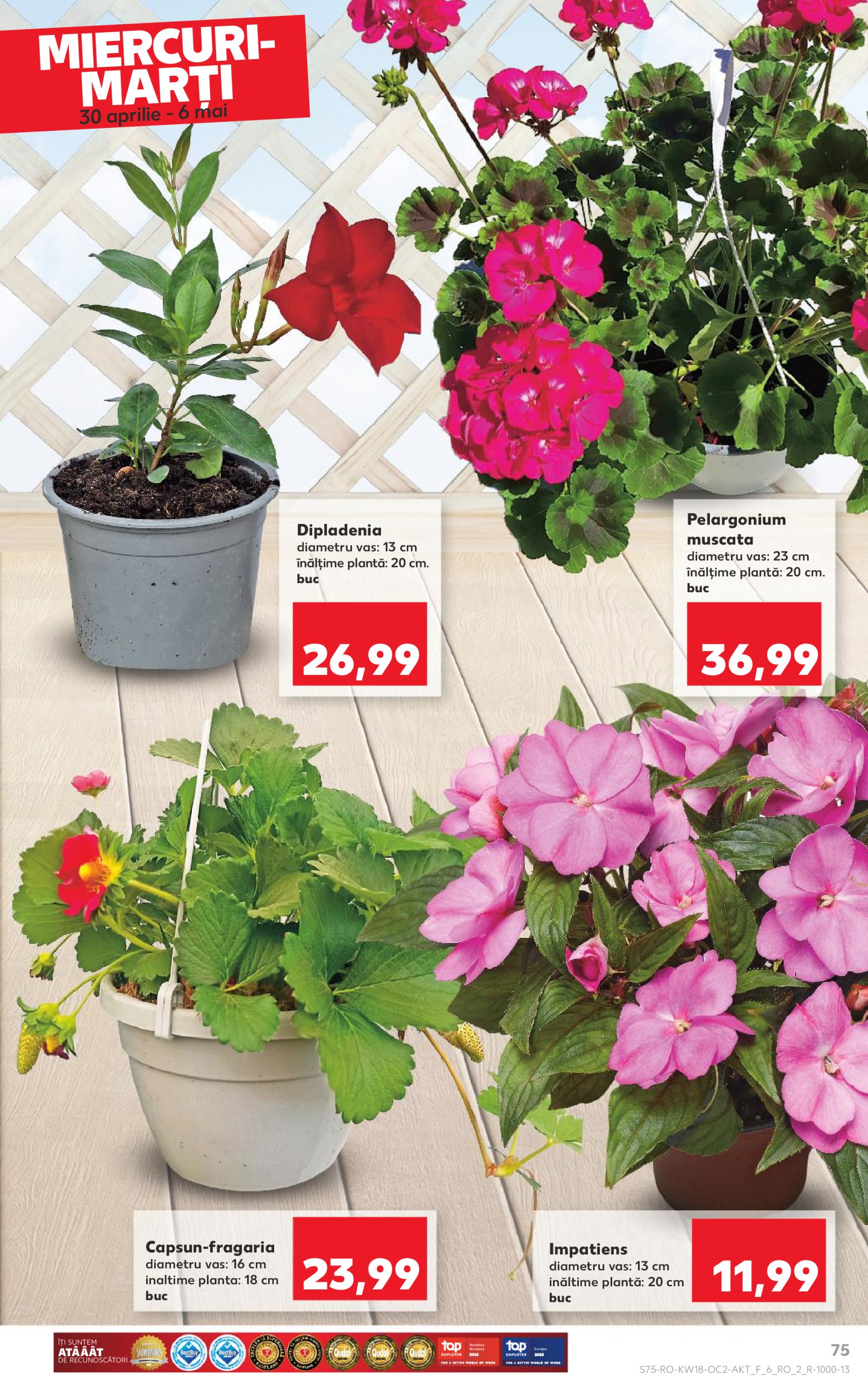 kaufland - Catalog Kaufland valabil din 30.04. - 06.05. - page: 75 kaufland - Catalog Kaufland valabil din 30.04. - 06.05. - page: 75