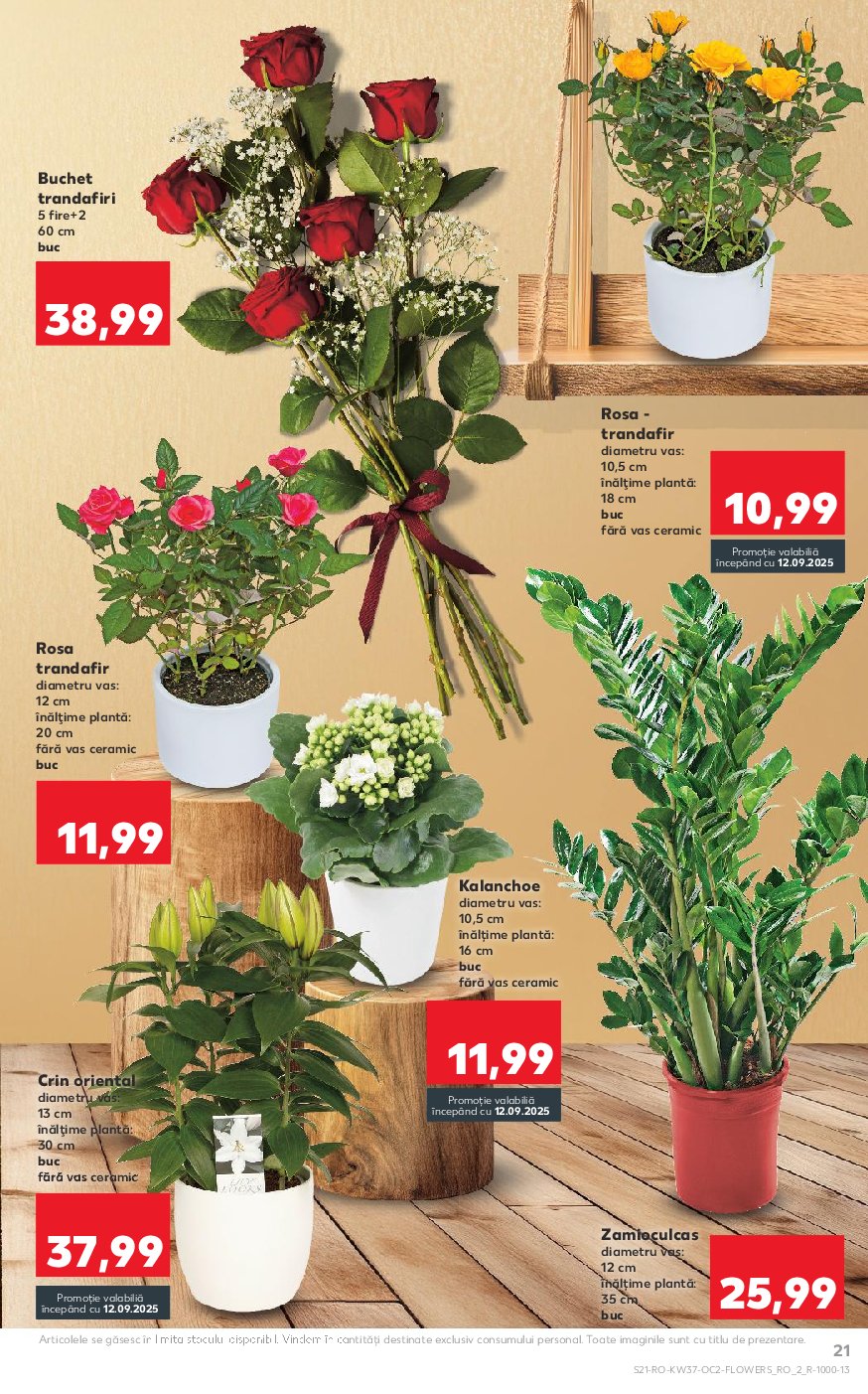 kaufland - Catalog Kaufland online – oferte valabile din 10.09. - page: 21 kaufland - Catalog Kaufland online – oferte valabile din 10.09. - page: 21