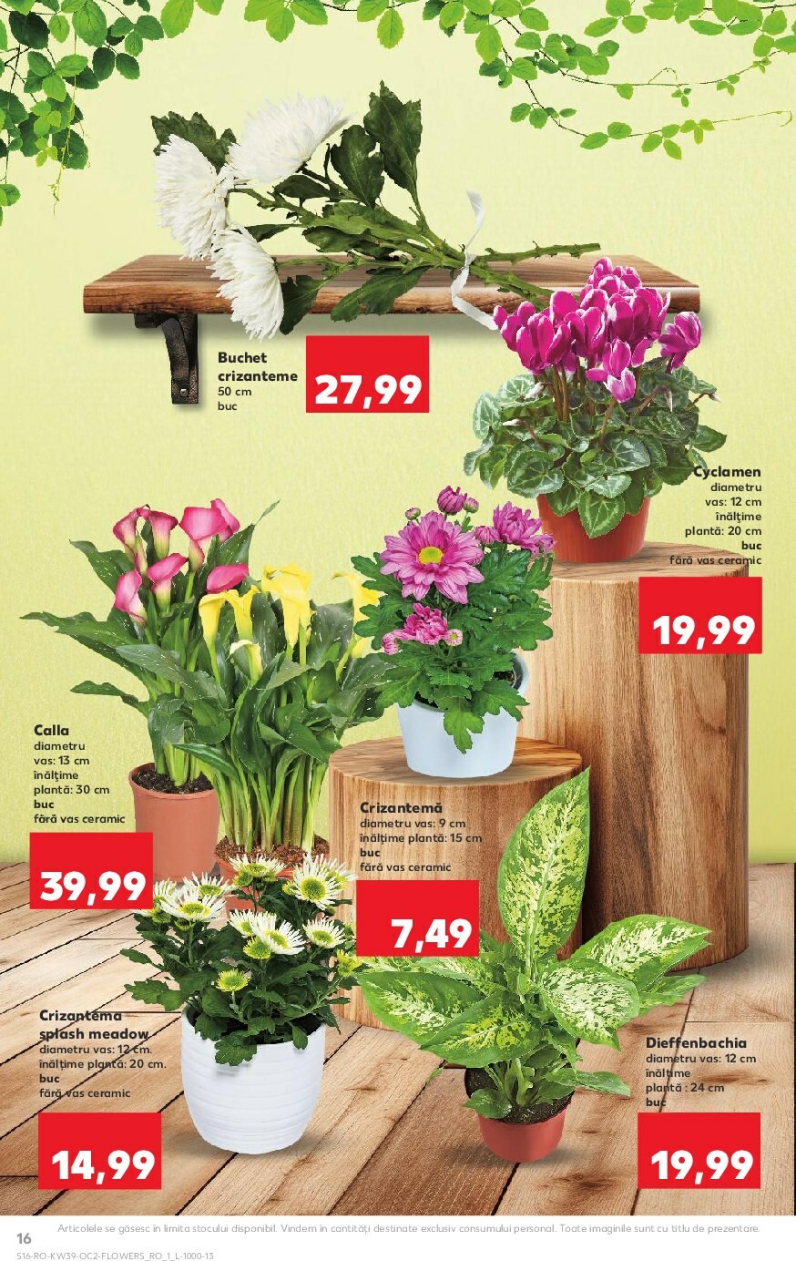 kaufland - Catalog Kaufland online – oferte valabile din 24.09. - page: 16 kaufland - Catalog Kaufland online – oferte valabile din 24.09. - page: 16