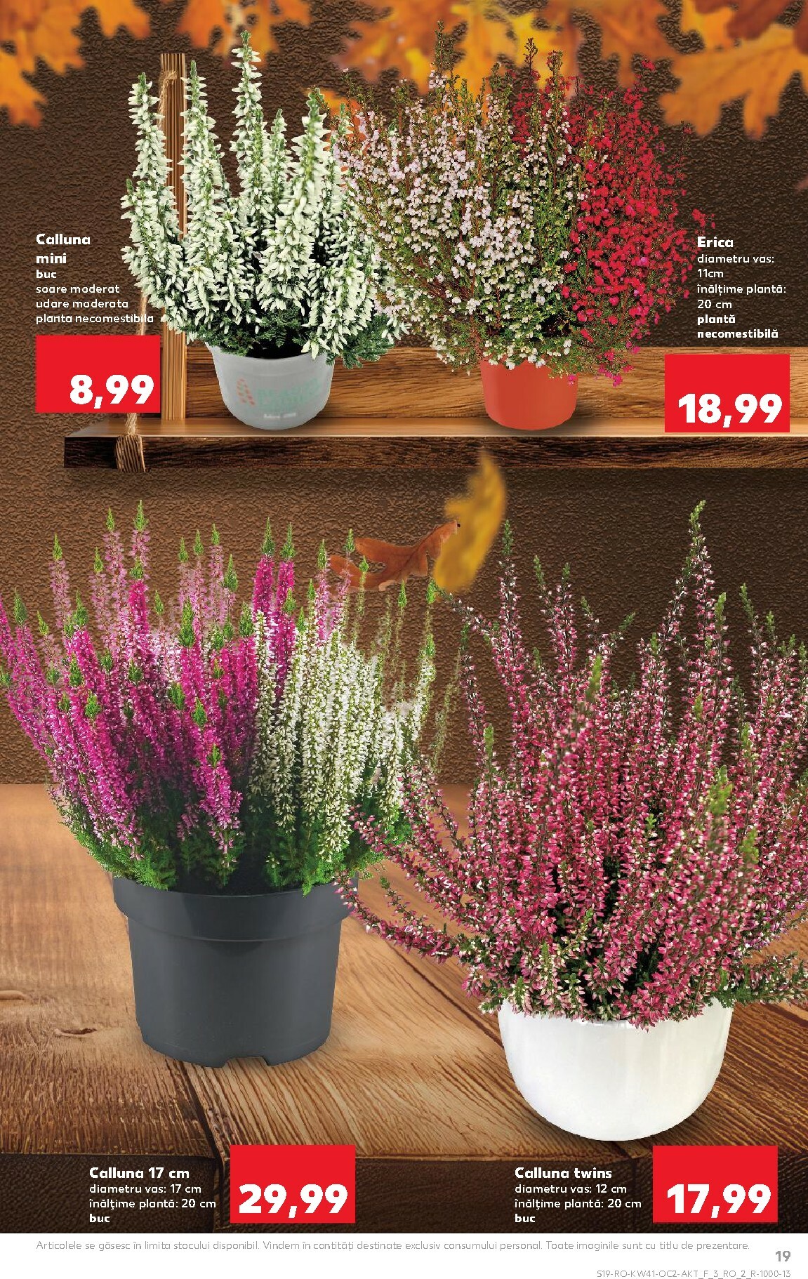 kaufland - Catalog Kaufland online – oferte valabile din 08.10. - page: 19 kaufland - Catalog Kaufland online – oferte valabile din 08.10. - page: 19