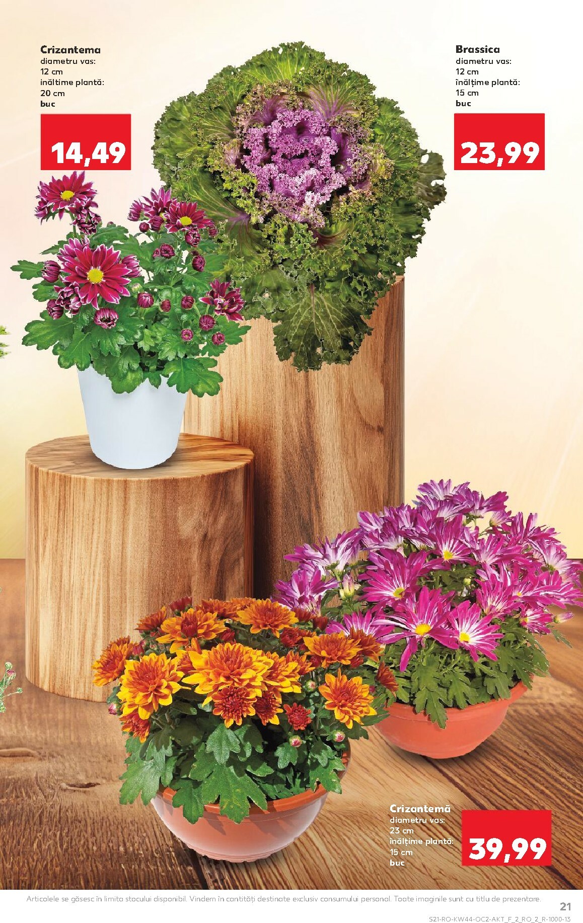 kaufland - Catalog Kaufland online – oferte valabile din 29.10. - page: 21 kaufland - Catalog Kaufland online – oferte valabile din 29.10. - page: 21
