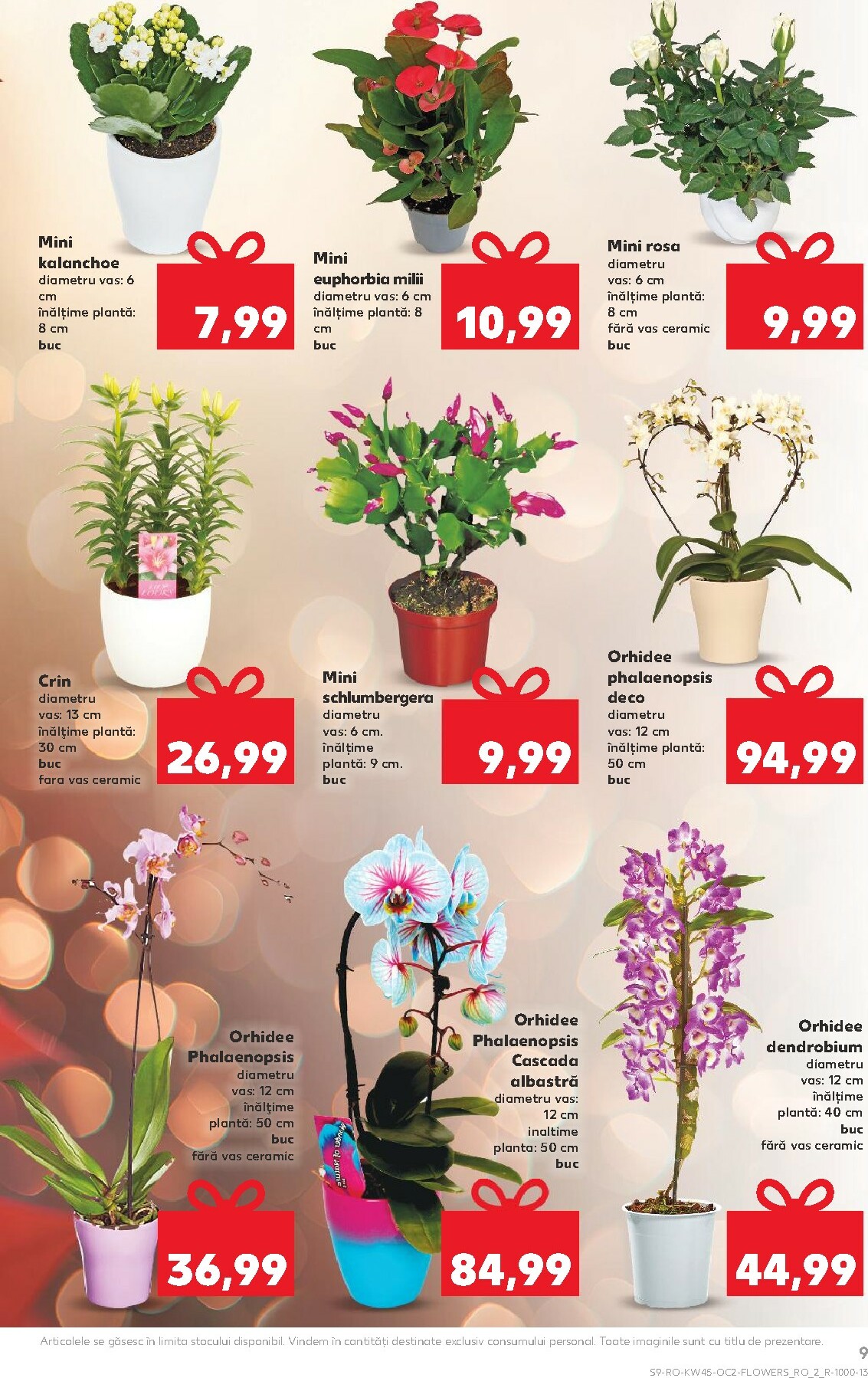 kaufland - Catalog Kaufland online – oferte valabile din 05.11. - page: 9