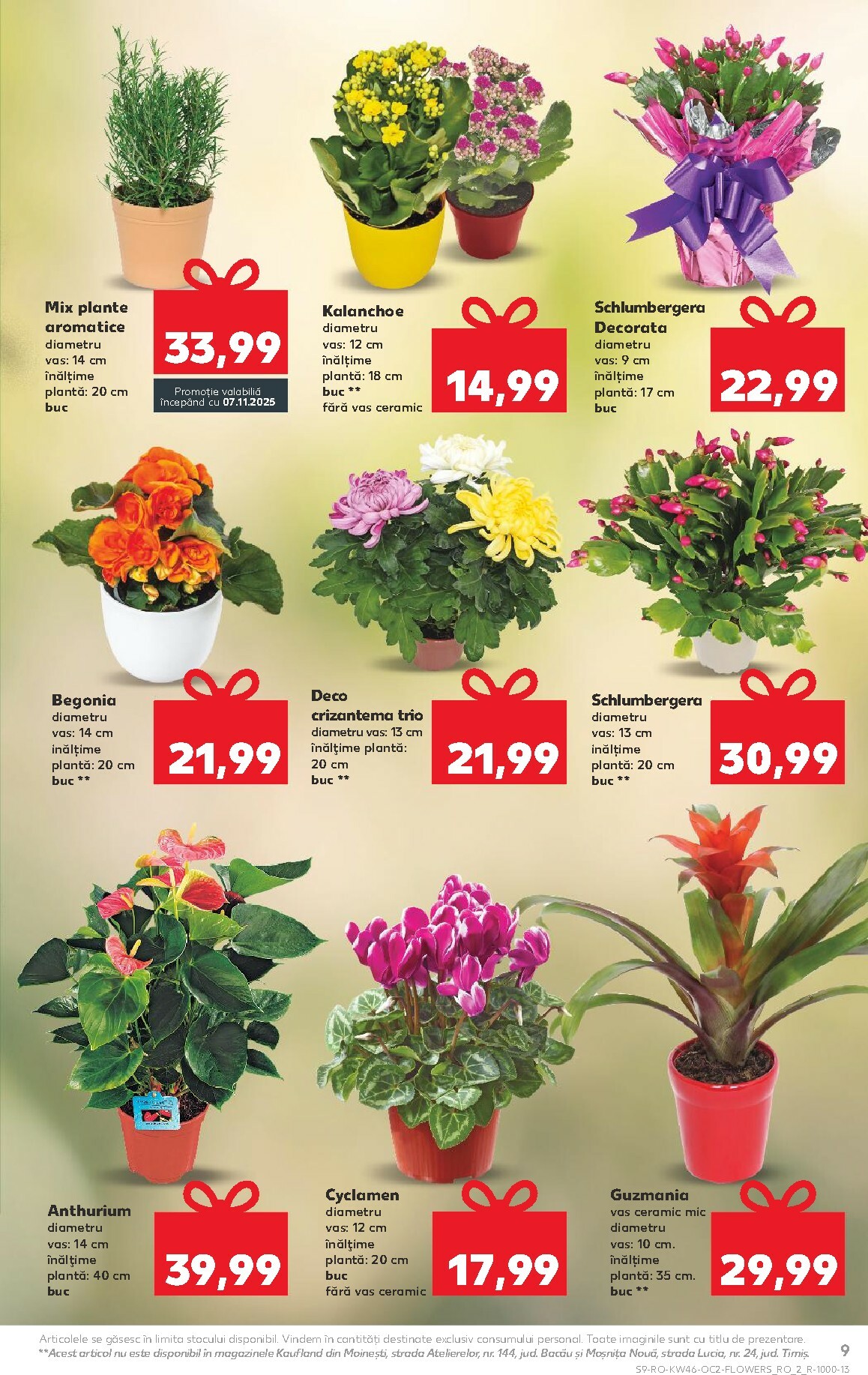 kaufland - Catalog Kaufland online – oferte valabile din 12.11. - page: 9