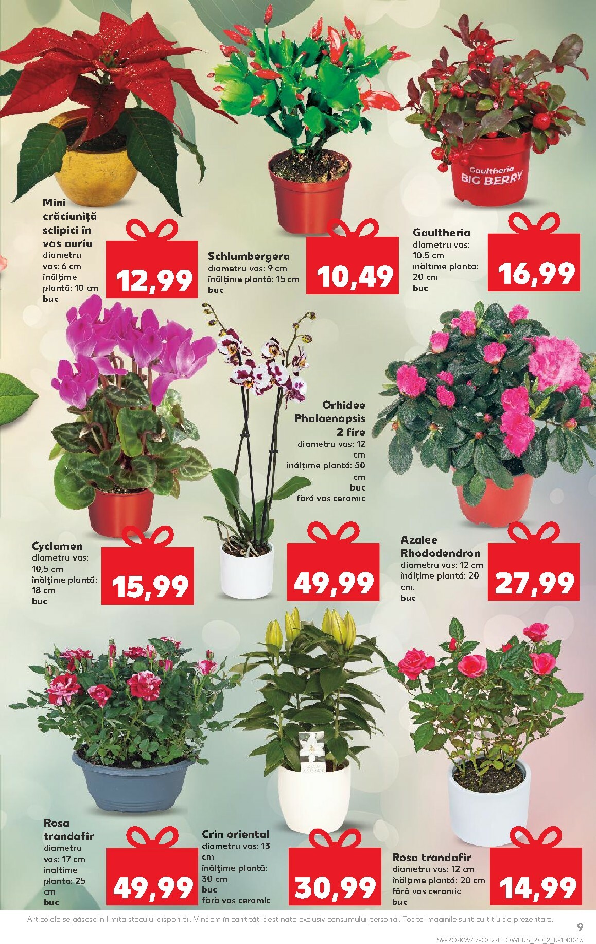 kaufland - Catalog Kaufland online – oferte valabile din 19.11. - page: 9