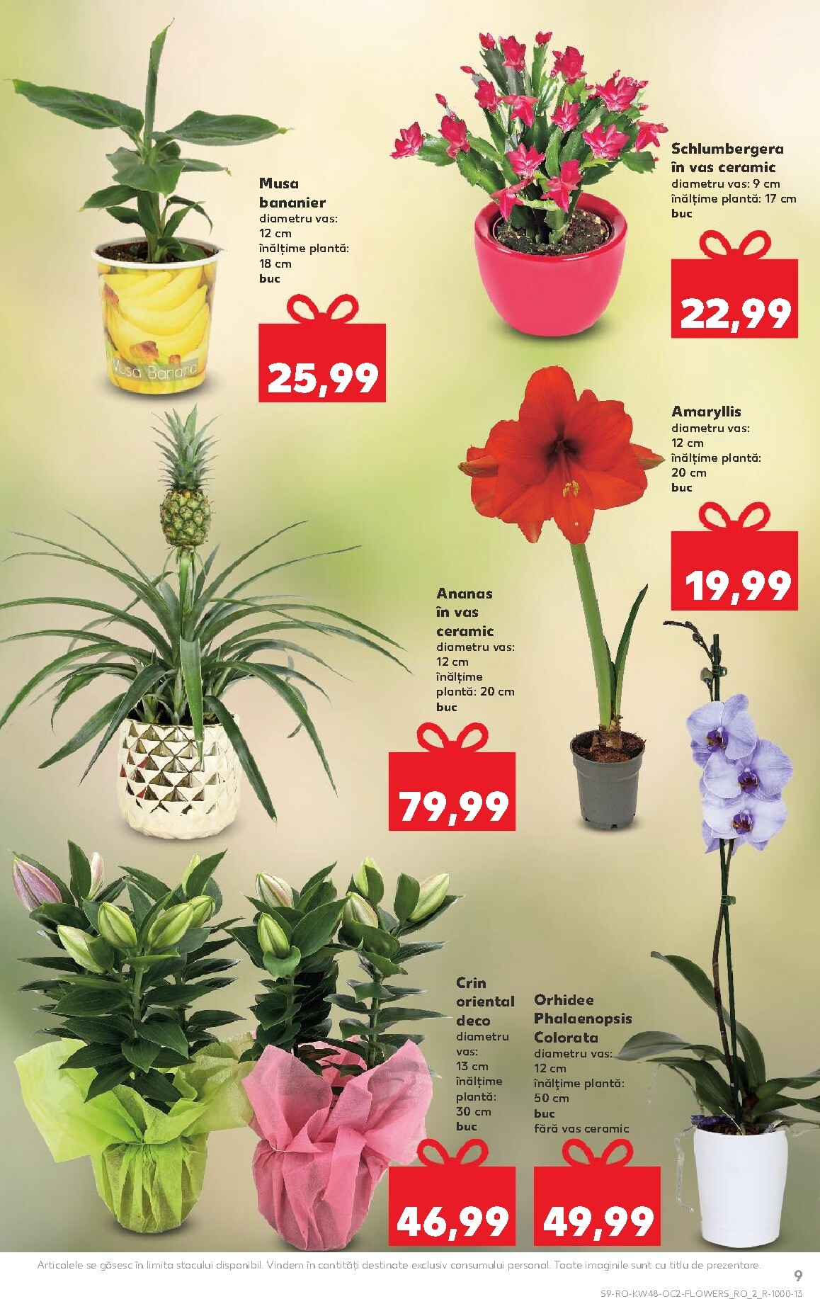 kaufland - Catalog Kaufland online – oferte valabile din 26.11. - page: 9
