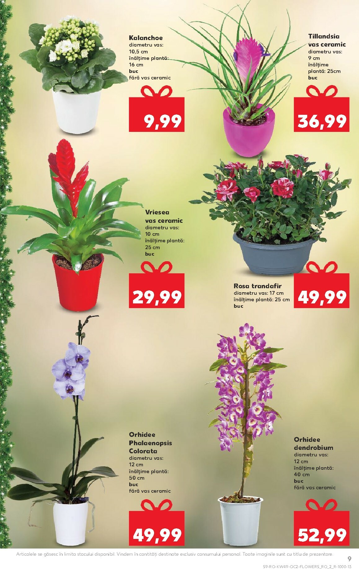 kaufland - Catalog Kaufland online – oferte valabile din 03.12. - page: 9