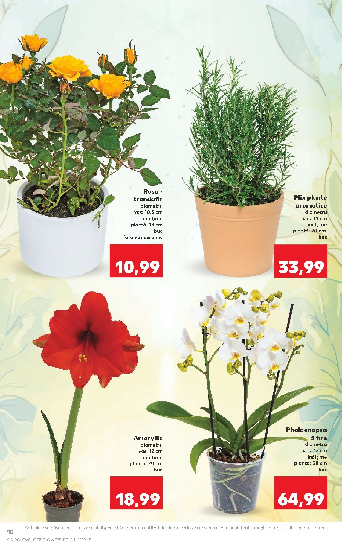 kaufland - Catalog Kaufland online – oferte valabile din 31.12. - page: 10