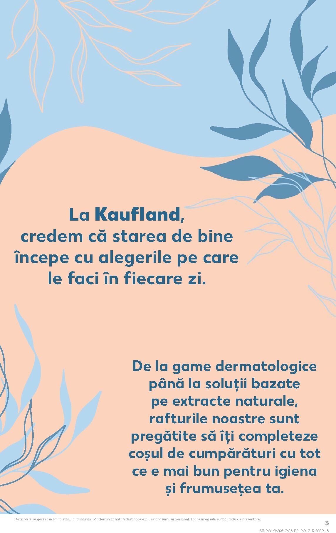 kaufland - Catalog Kaufland - Răsfoiește catalogul tematic online – oferte valabile din 28.01. - page: 3