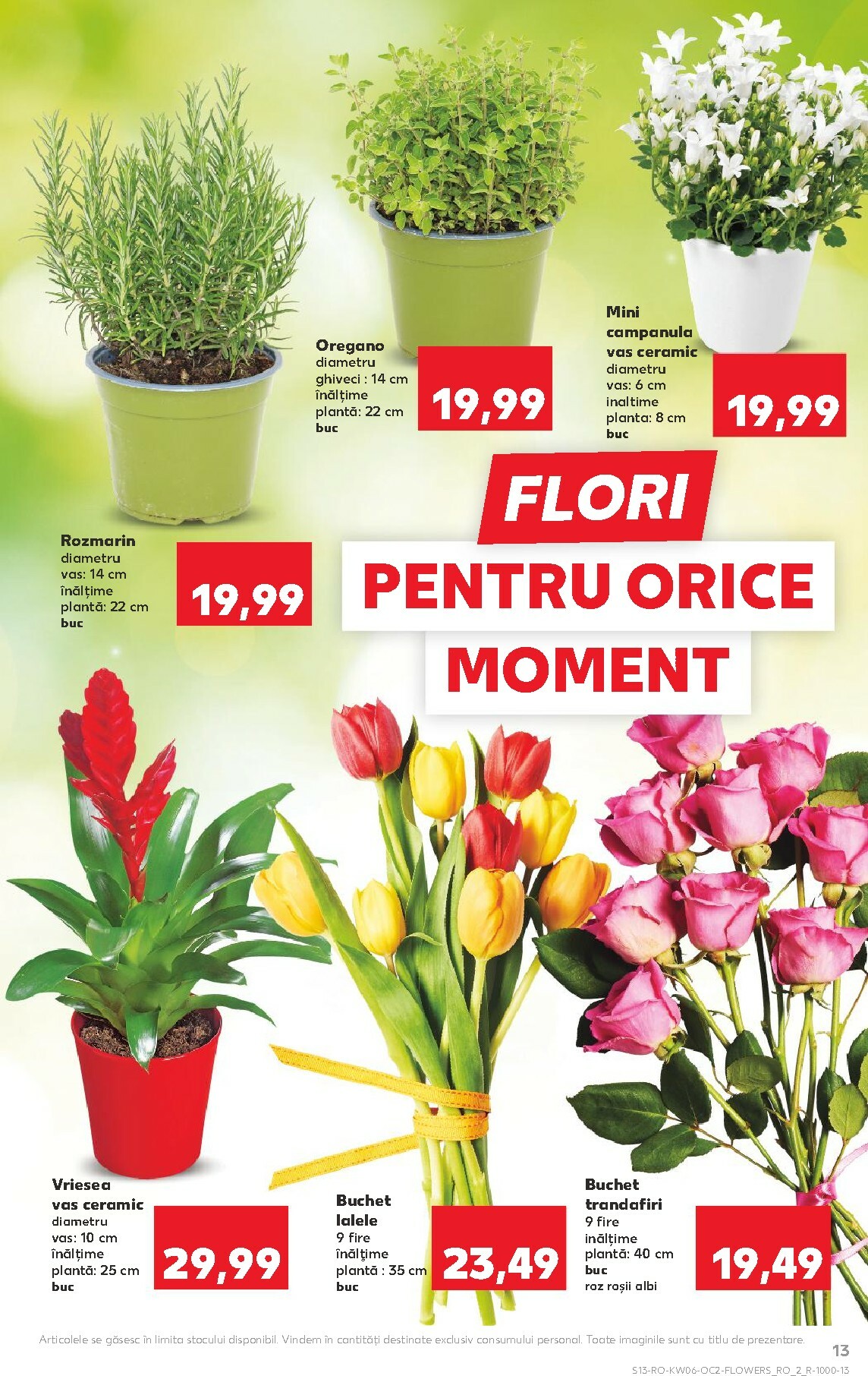 kaufland - Catalog Kaufland online – oferte valabile din 04.02.2026 - page: 13