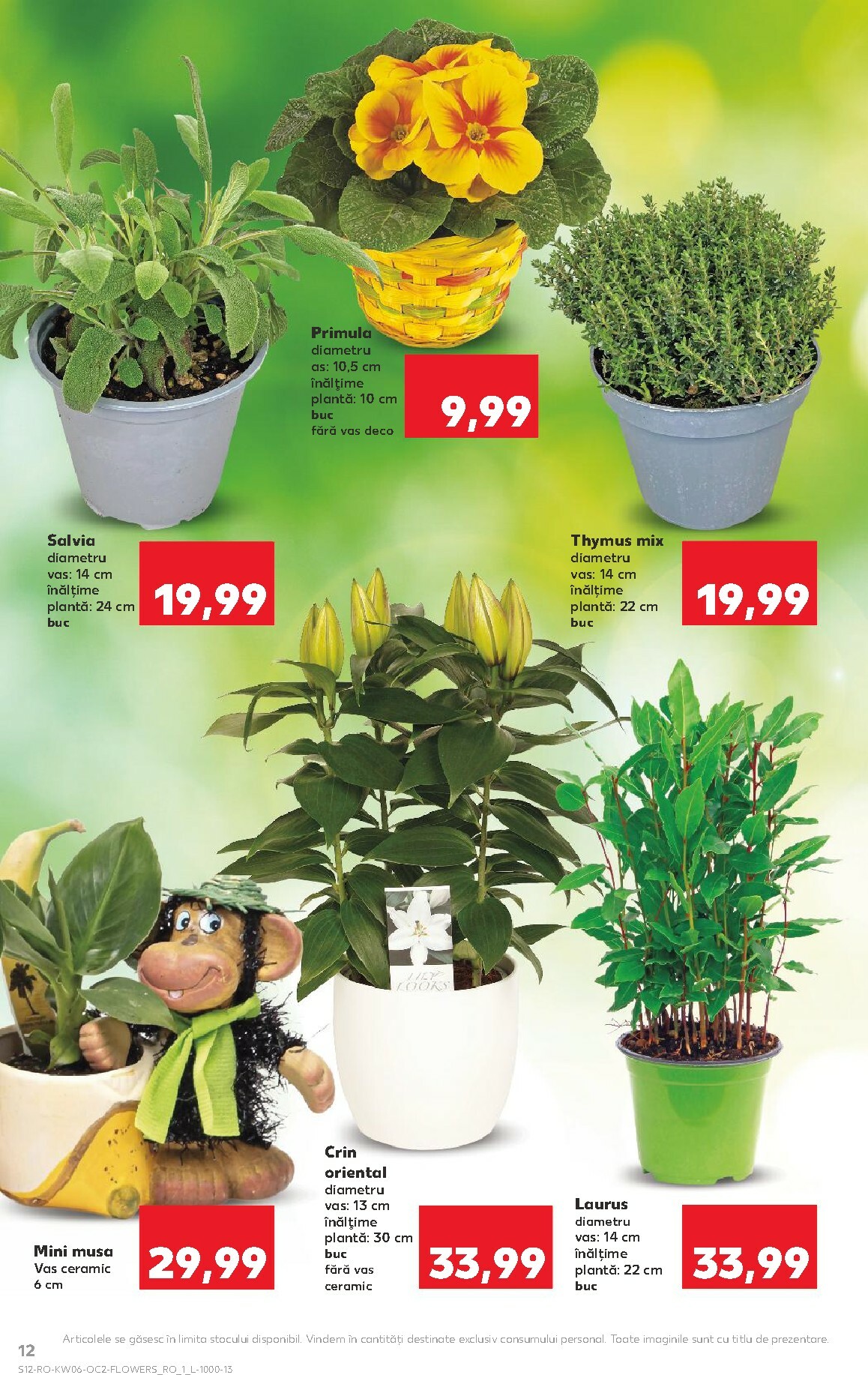 kaufland - Catalog Kaufland online – oferte valabile din 04.02.2026 - page: 12