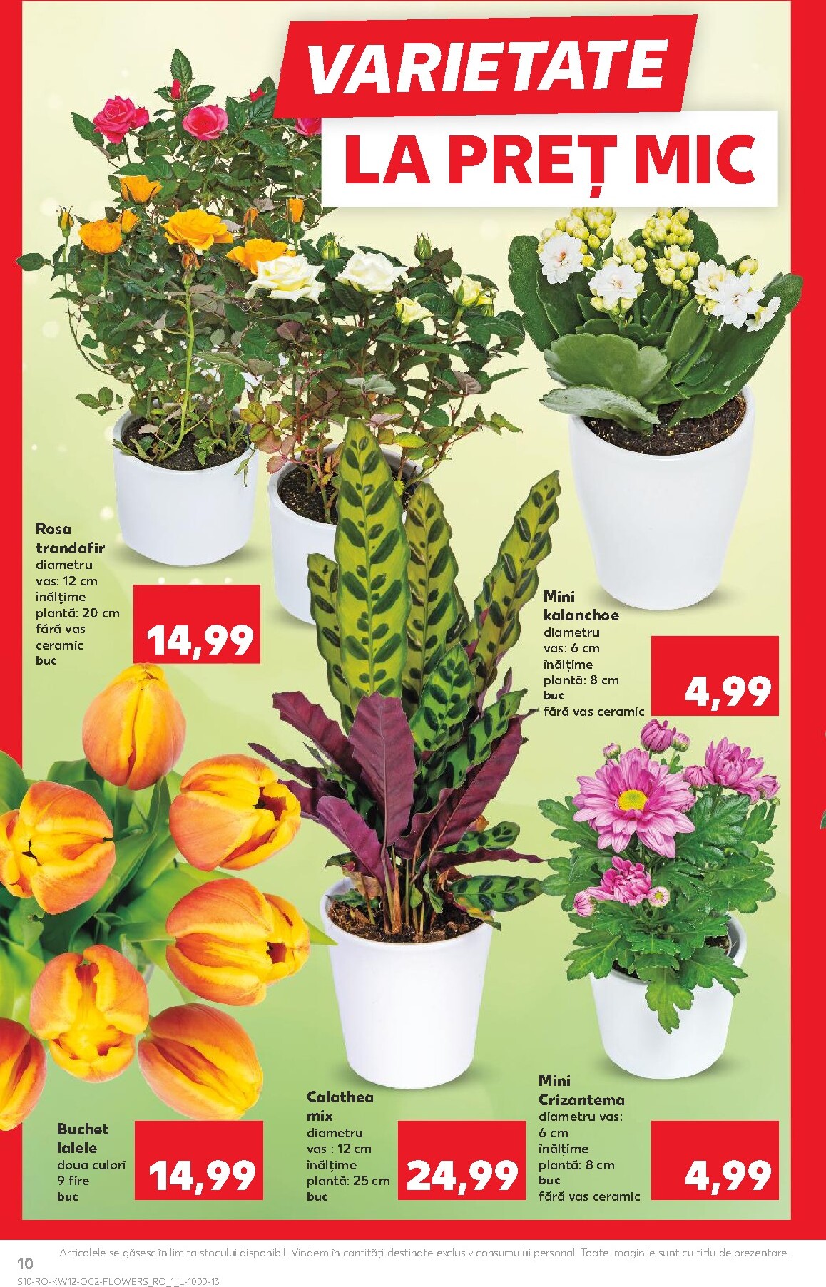 kaufland - Catalog Kaufland online – oferte valabile din 18.03.2026 - page: 10