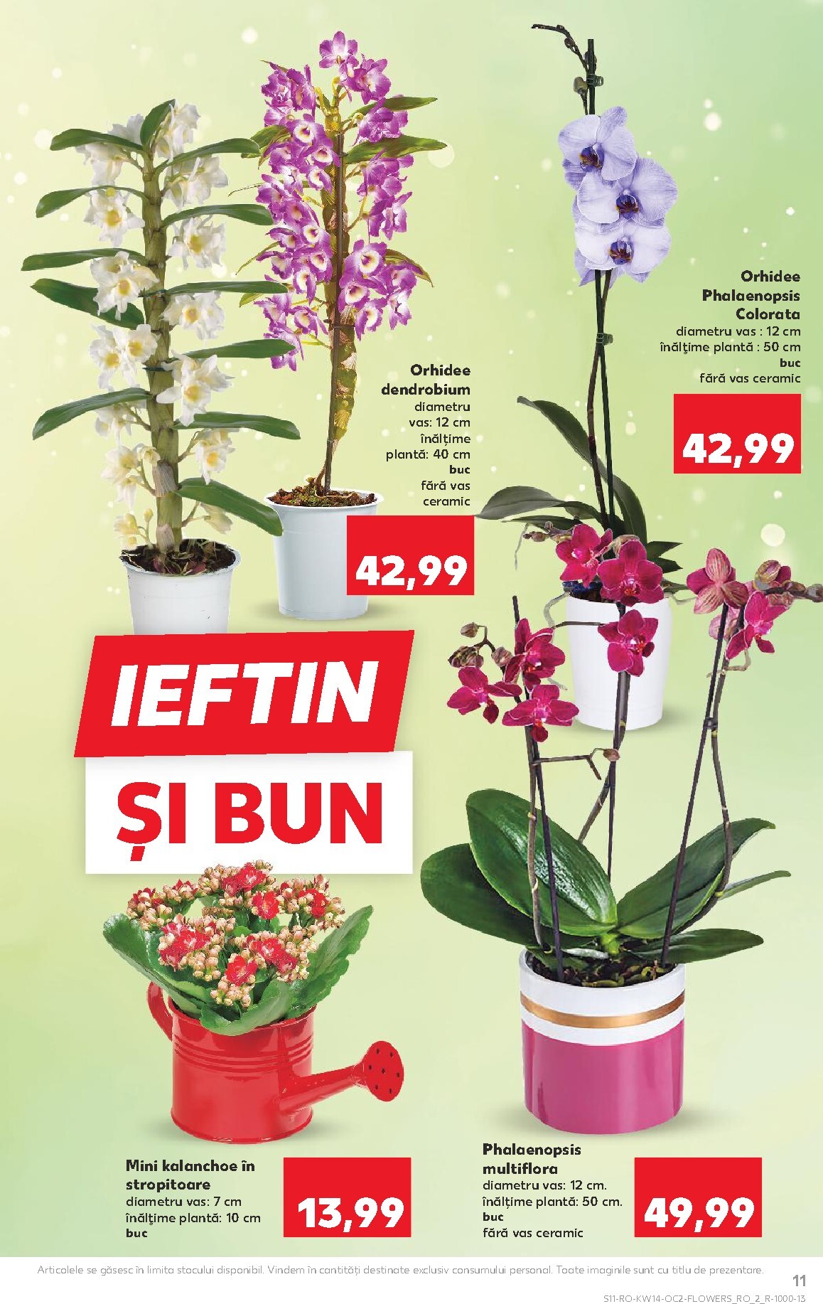 kaufland - Catalog Kaufland online – oferte valabile din 01.04.2026 - page: 11