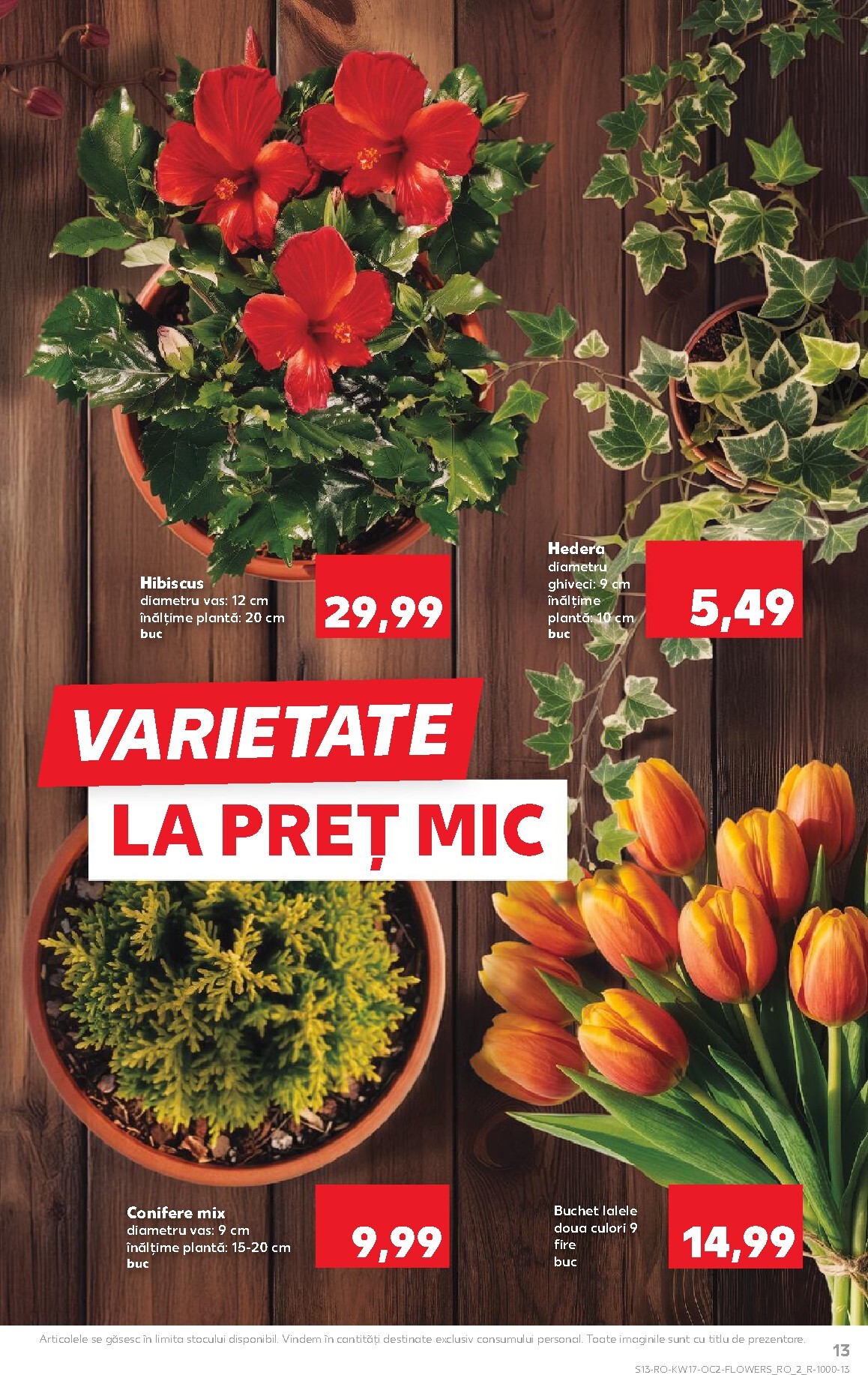 kaufland - Kaufland pliante pentru săptămâna viitoare de la miercuri 22.04.2026 până la marți 28.04.2026 - page: 13