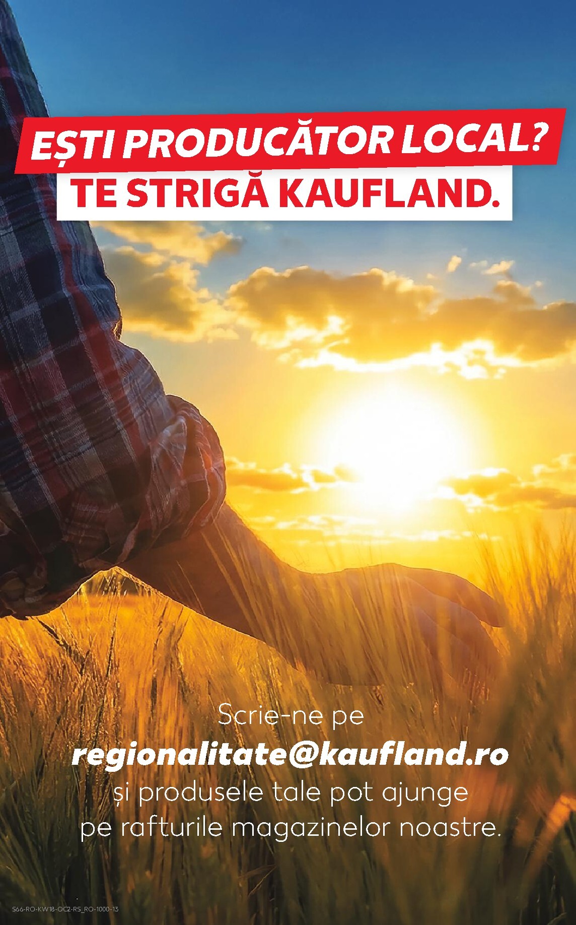 kaufland - Kaufland pliante pentru săptămâna viitoare de la miercuri 29.04.2026 până la marți 05.05.2026 - page: 66