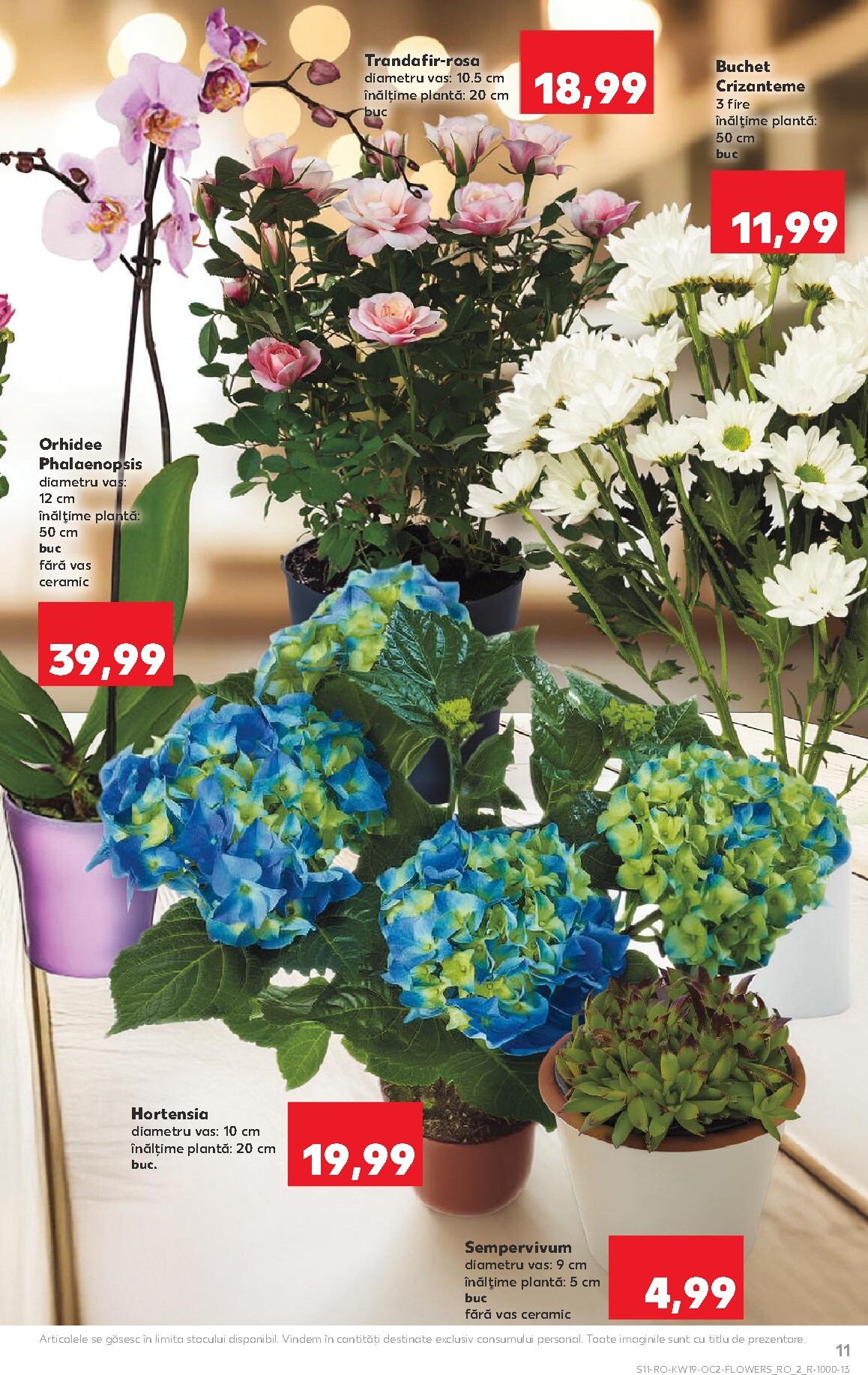 kaufland - Kaufland pliante pentru săptămâna viitoare de la miercuri 06.05.2026 până la marți 12.05.2026 - page: 11