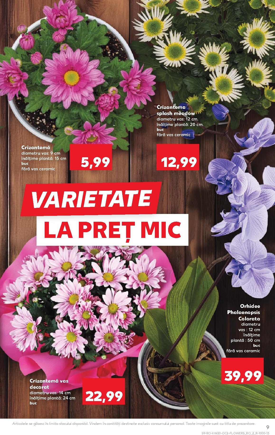 kaufland - Kaufland pliante pentru săptămâna viitoare de la miercuri 13.05.2026 până la marți 19.05.2026 - page: 9