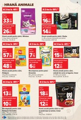carrefour - Brosura Carrefour - Pet food valabilă de la miercuri 23.09.2026 până la marți 06.10.2026 - page: 5
