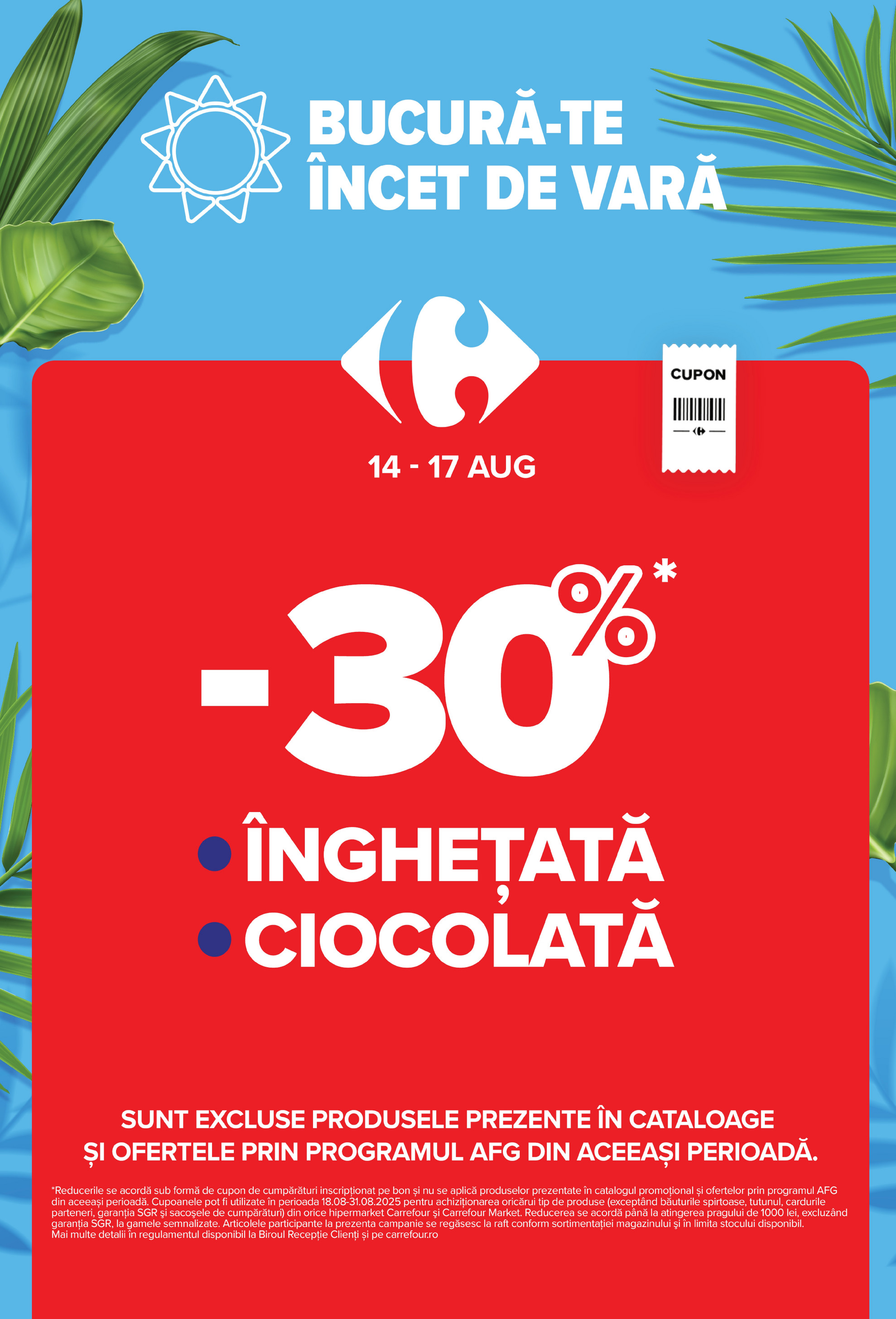 carrefour - Catalog Carrefour Market valabil din 13.08. până pe 19.08. - page: 3