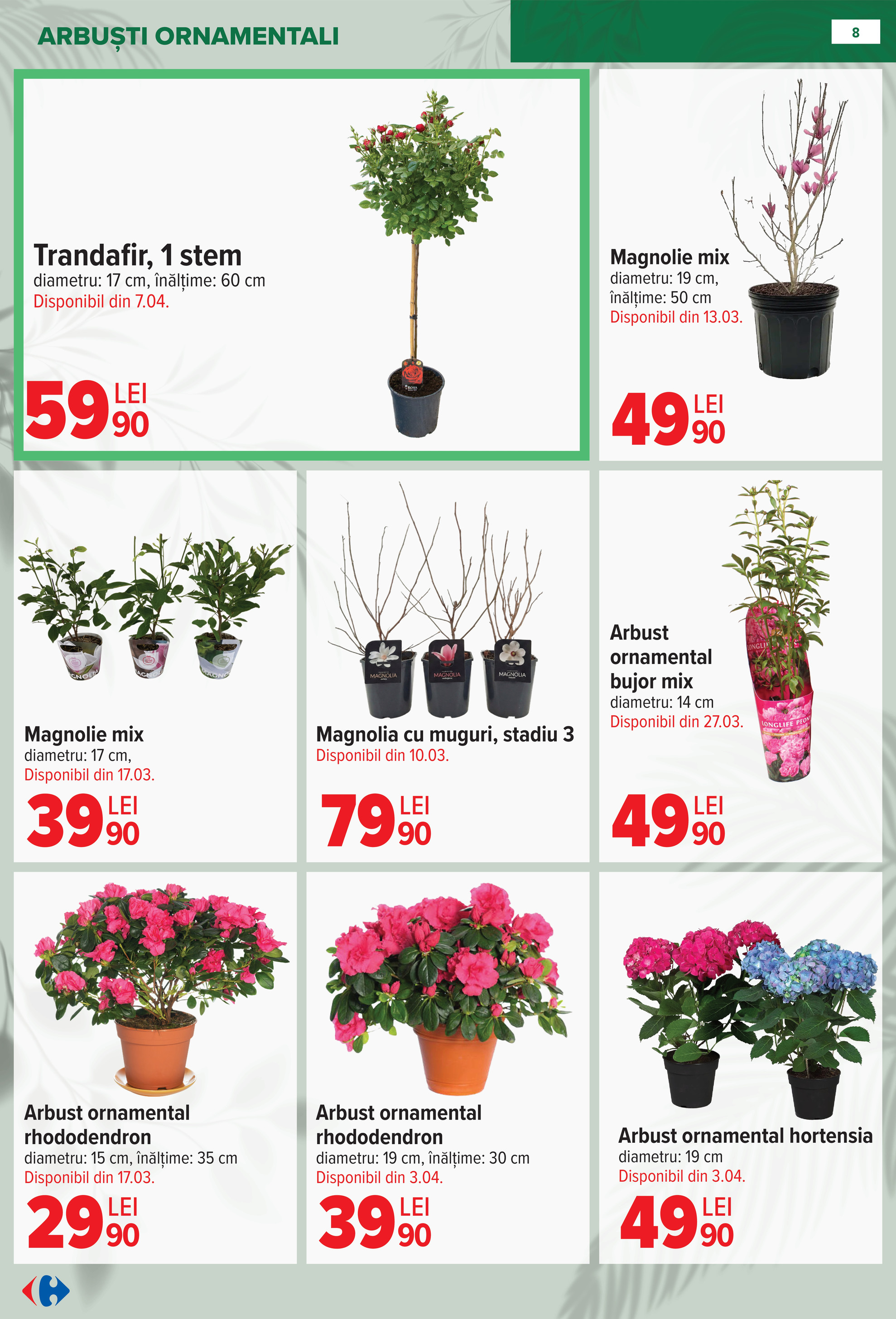 carrefour - Catalog Carrefour - Material saditor online – oferte valabile din 11.02.2026 - page: 8