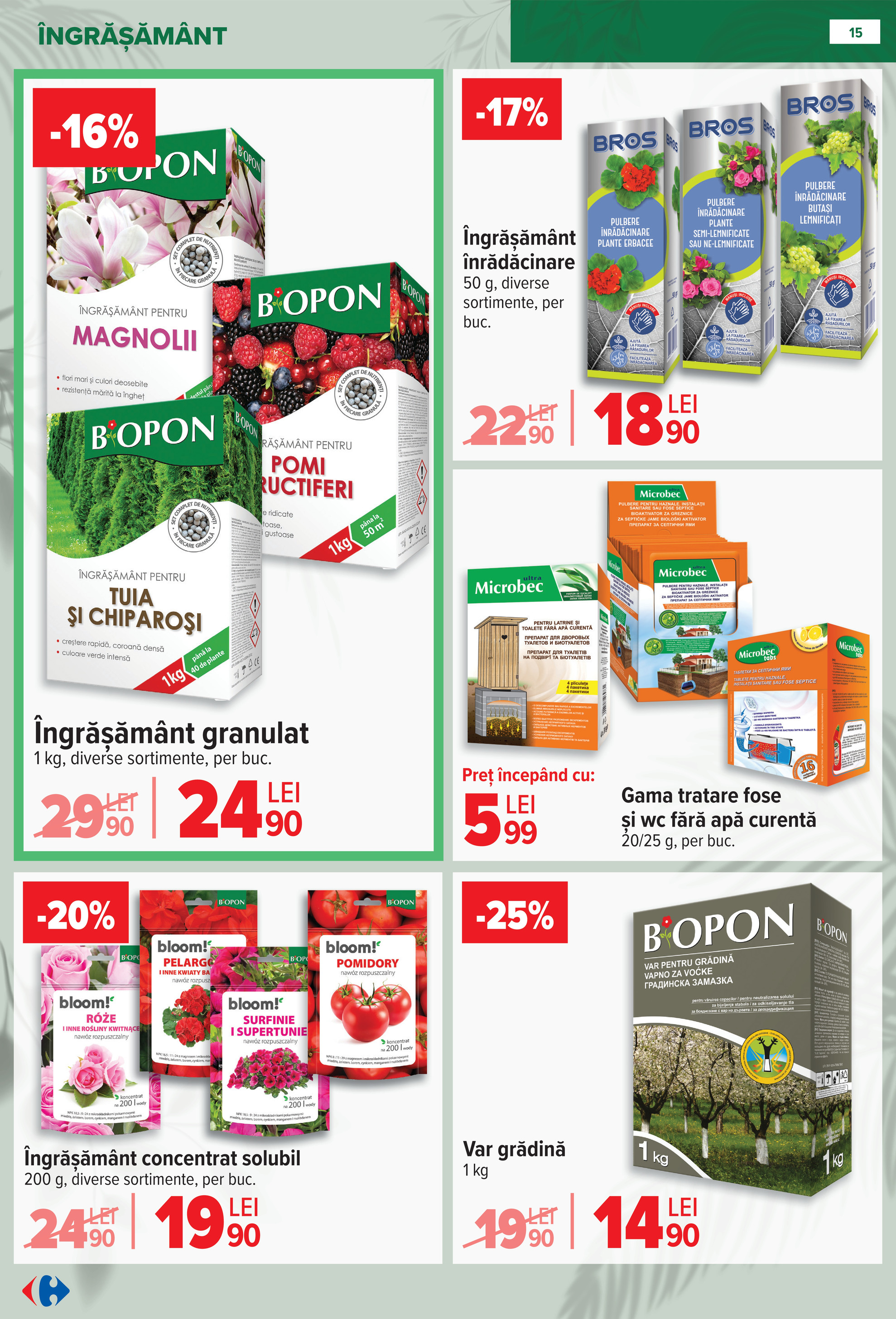 carrefour - Catalog Carrefour - Material saditor online – oferte valabile din 11.02.2026 - page: 15
