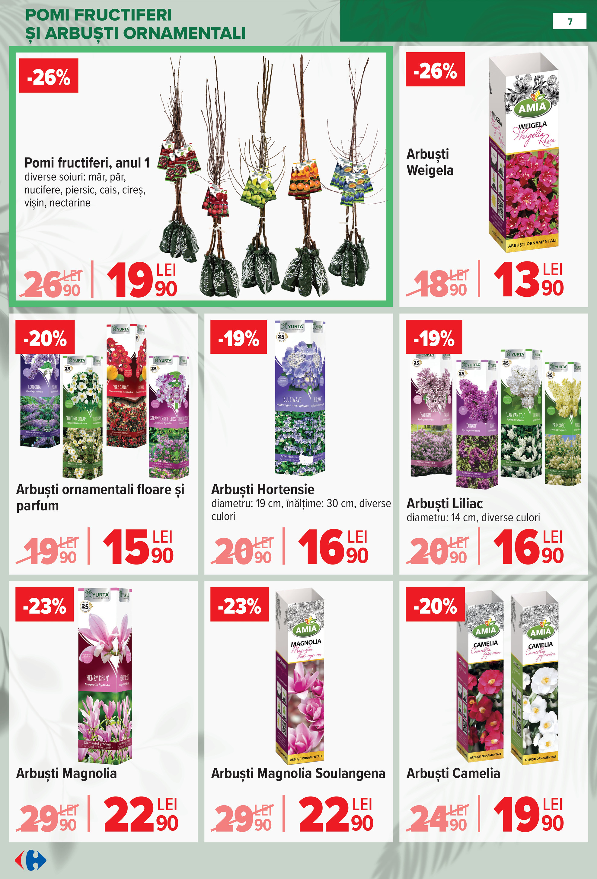 carrefour - Catalog Carrefour - Material saditor online – oferte valabile din 11.02.2026 - page: 7