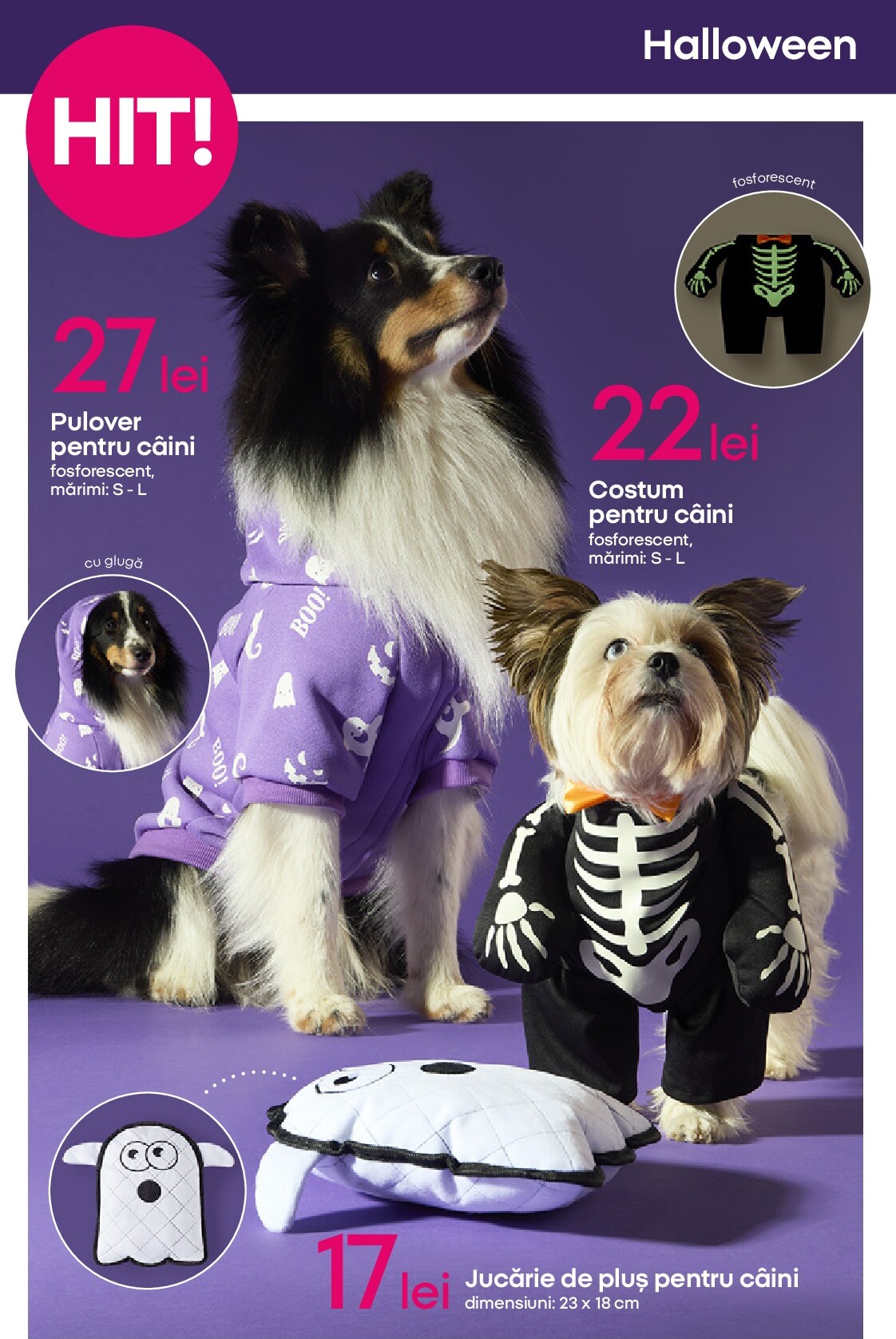 pepco - Catalog Pepco - Tot ce ai nevoie pentru toamnă e aici online – oferte valabile din 25.09. - page: 12