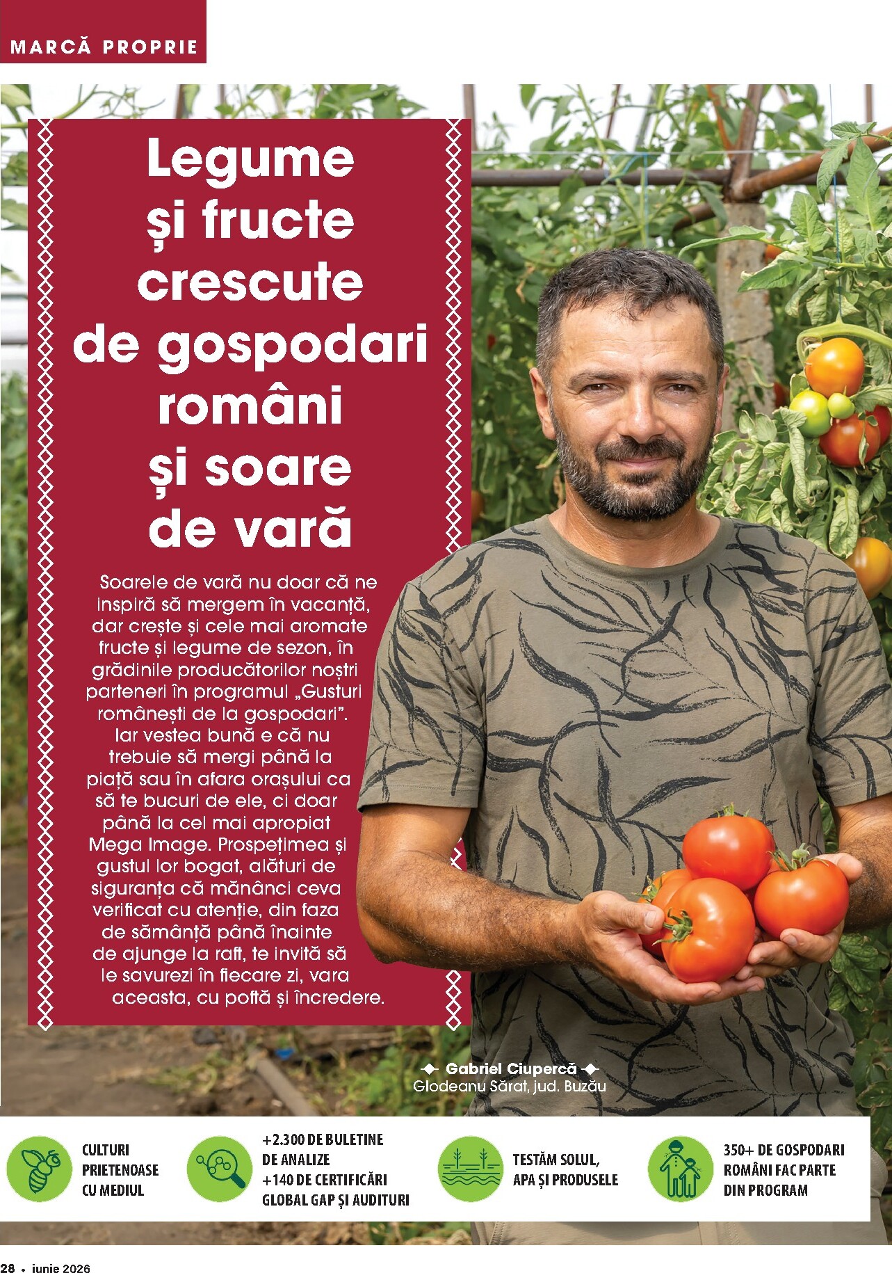 mega-image - Brosura MEGA IMAGE - Catalog iunie valabilă de la luni 01.06.2026 până la marți 30.06.2026 - page: 28
