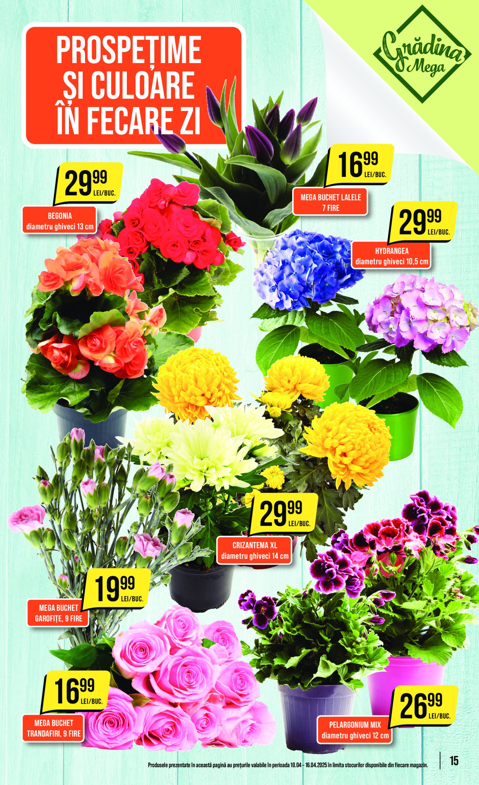 mega-image - Catalog Mega Image valabil din 10.04. - 16.04. - page: 15