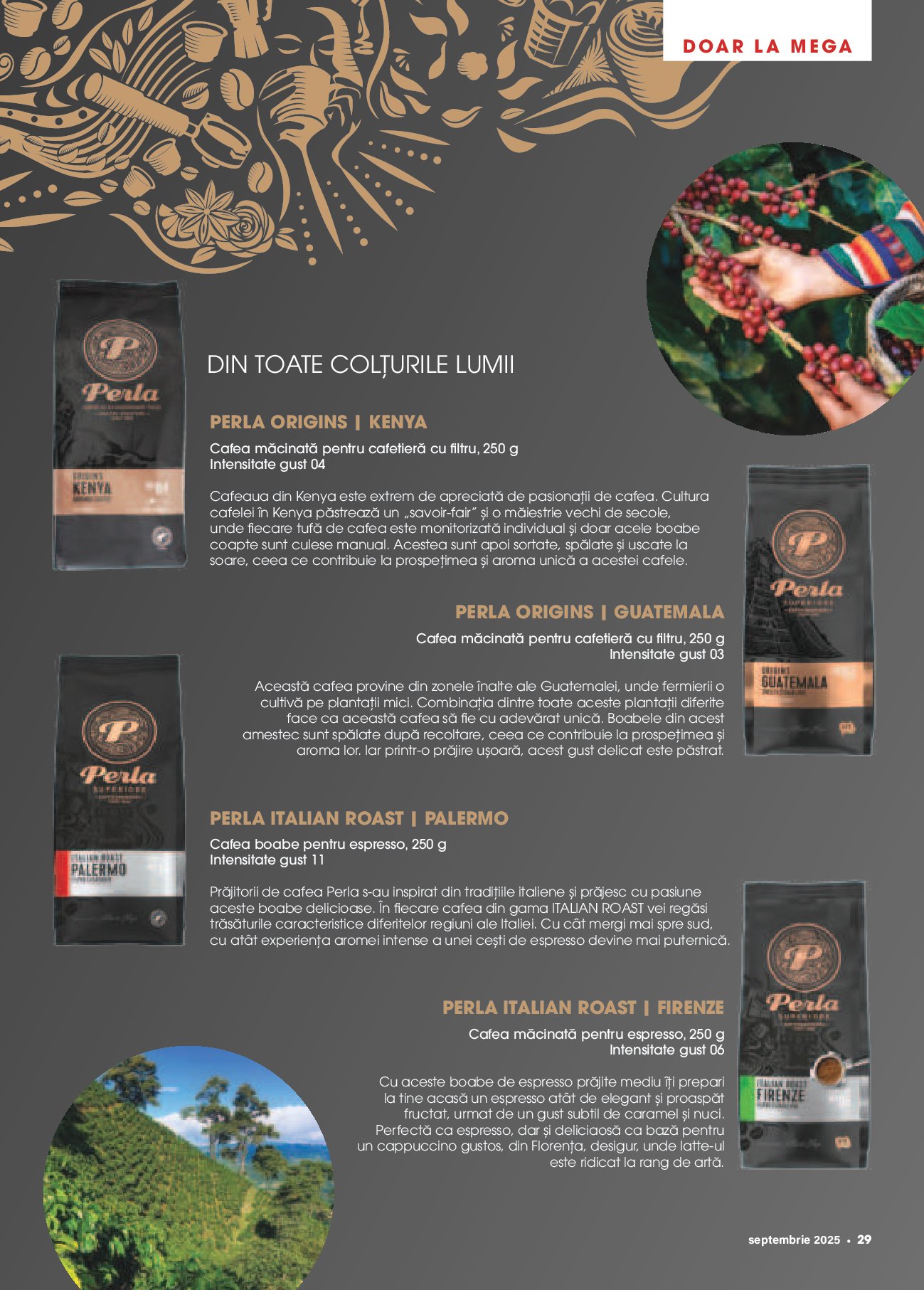 mega-image - Catalog Mega Image - Magazin Septembrie online – oferte valabile din 01.09. - page: 29