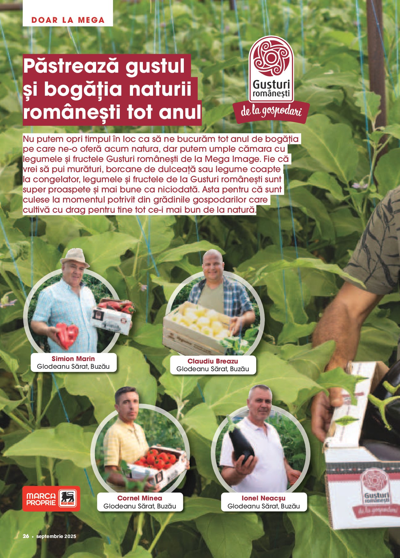 mega-image - Catalog Mega Image - Magazin Septembrie online – oferte valabile din 01.09. - page: 26