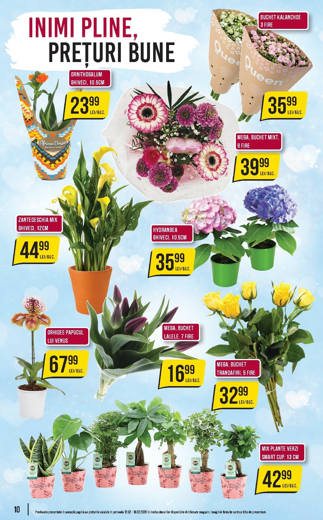 mega-image - Catalog Mega Image online – oferte valabile din 12.02.2026 - page: 10